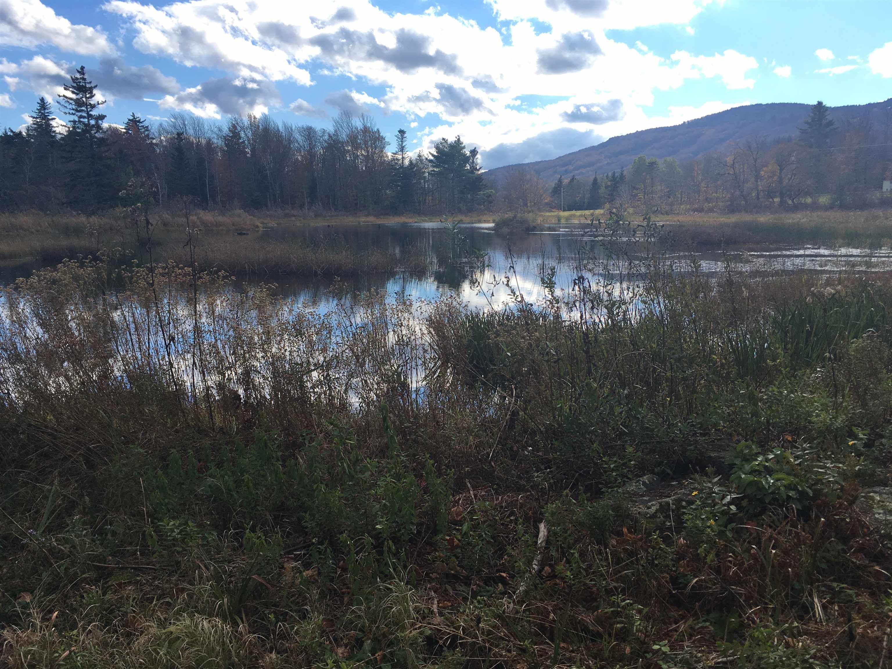 408 Fox Mt Road, Unit M408 & M409 Wilmington, VT 05363 - Photo 36 of 39