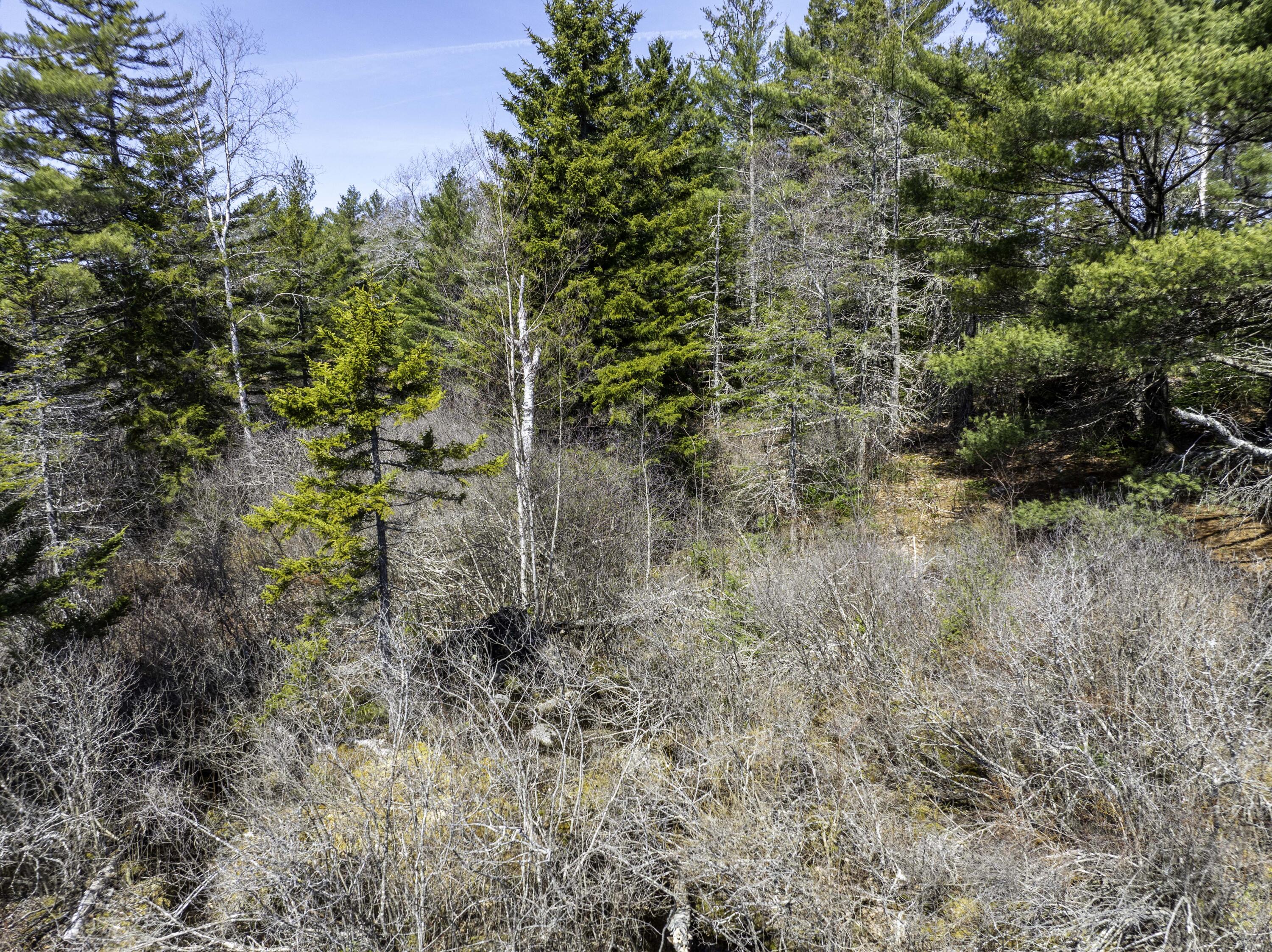 Lot E Lot E Birch Point Road Cooper, ME 04657 - Photo 15 of 20 Lot E - lakefront lot on Cathance Lake (