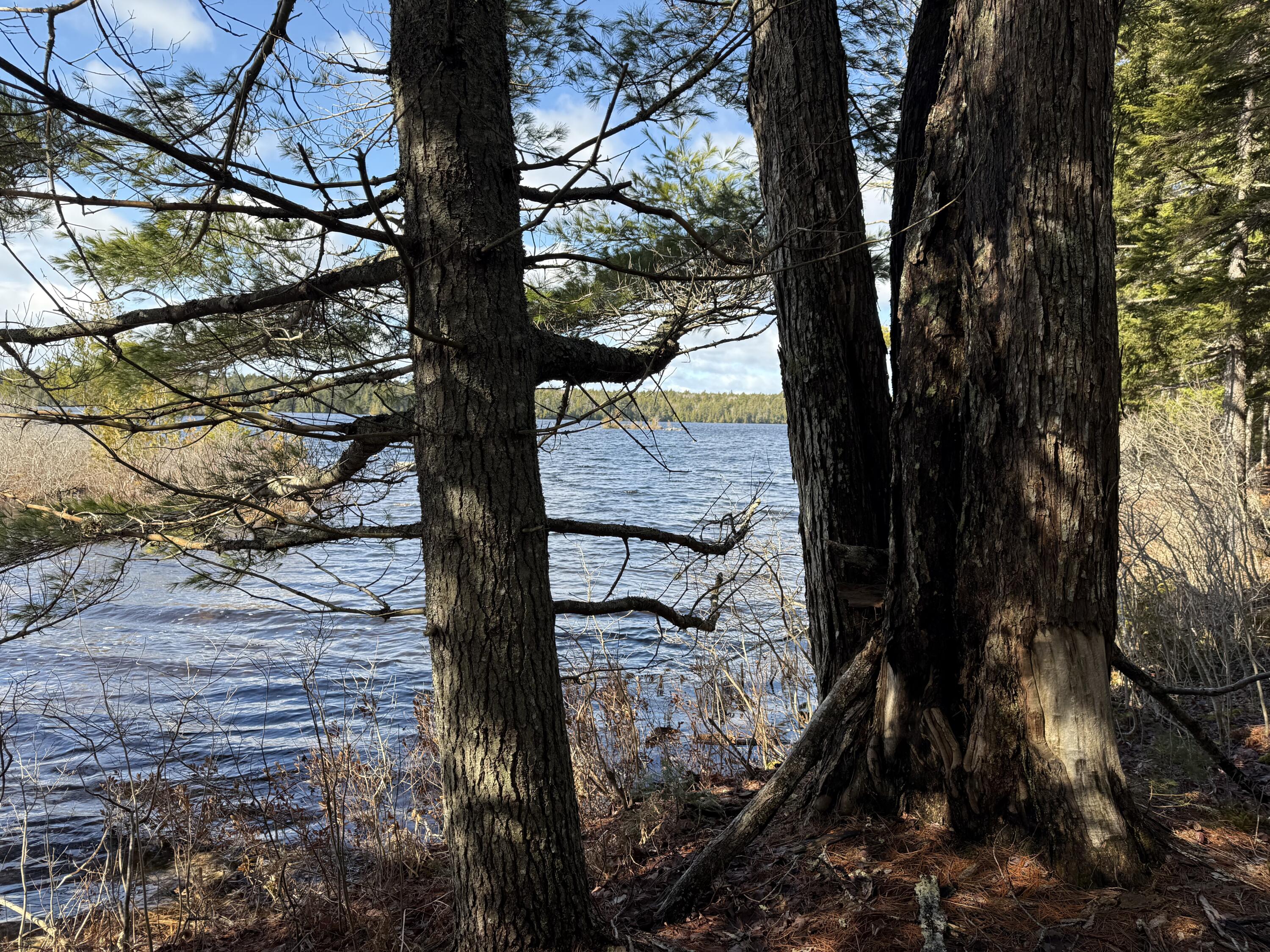 Lot E Lot E Birch Point Road Cooper, ME 04657 - Photo 3 of 20 IMG_0982