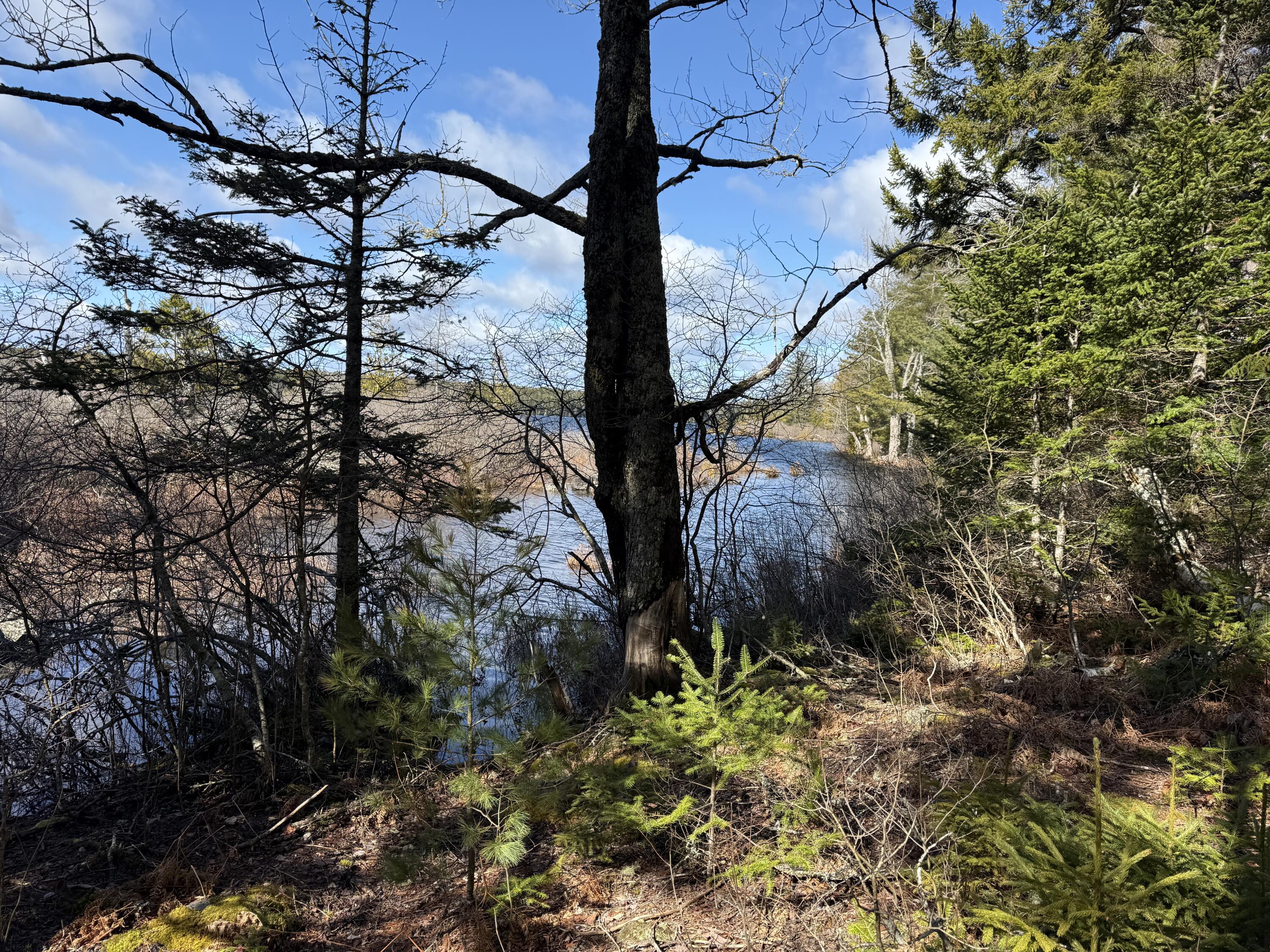 Lot E Lot E Birch Point Road Cooper, ME 04657 - Photo 4 of 20 IMG_0981