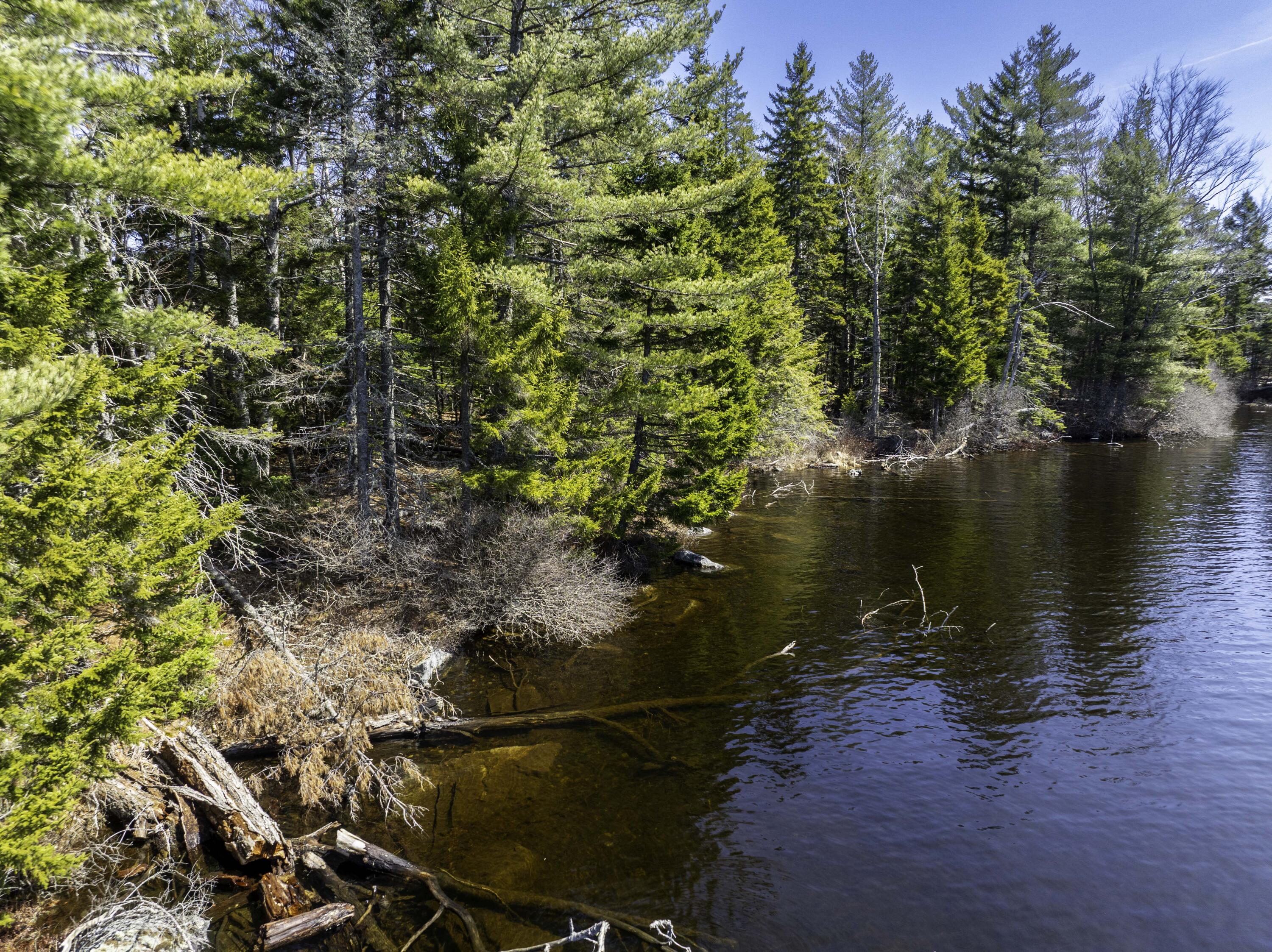 Lot E Lot E Birch Point Road Cooper, ME 04657 - Photo 7 of 20 Lot E - lakefront lot on Cathance Lake (
