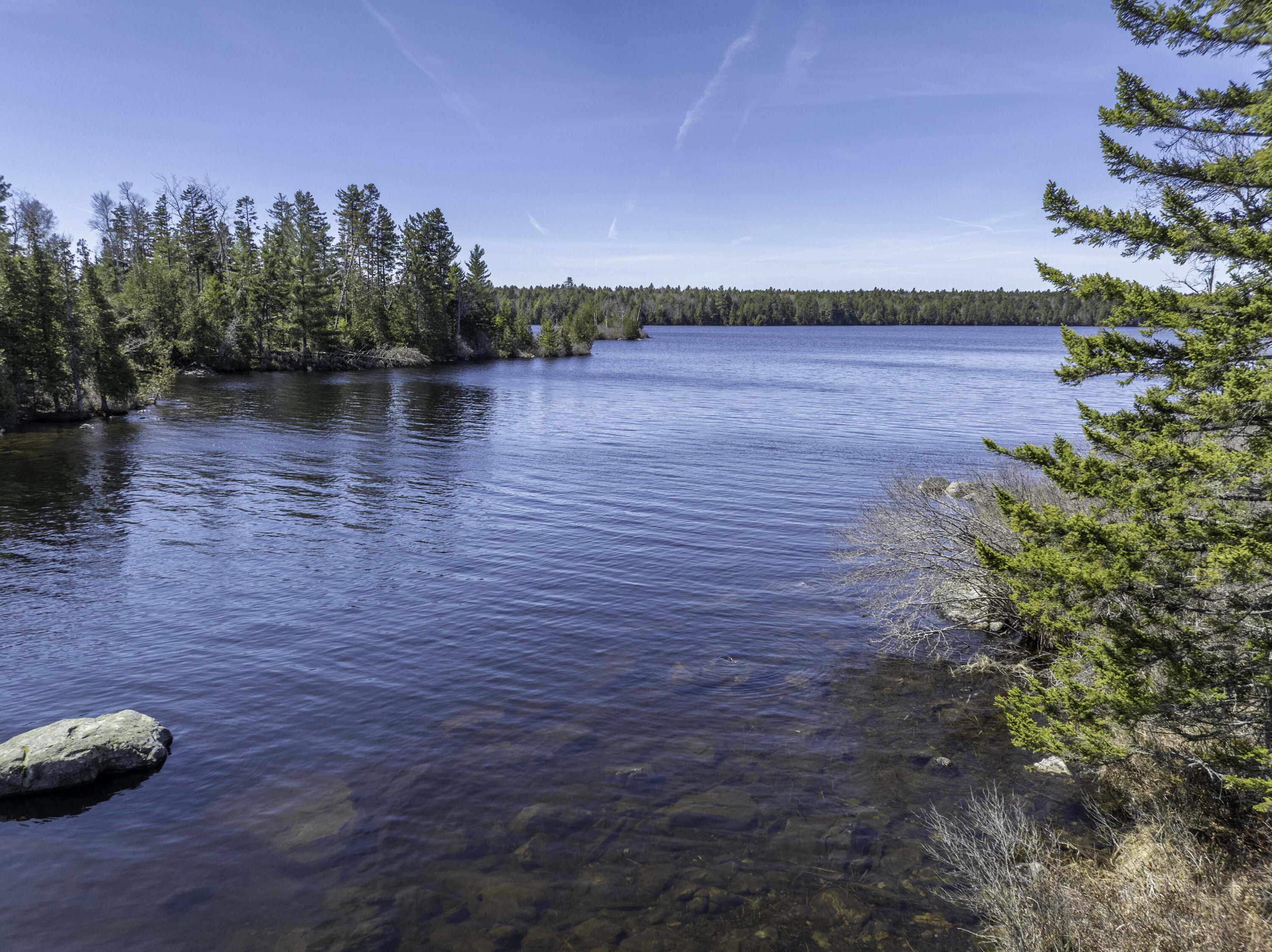 Lot E Lot E Birch Point Road Cooper, ME 04657 - Photo 8 of 20 Lot E - lakefront lot on Cathance Lake (