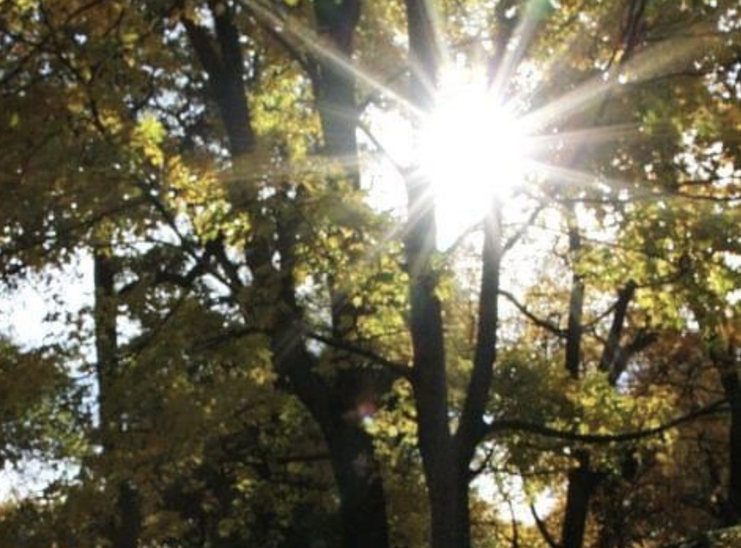 0 Reece Hollow Road Carthage, TN 37030 - Photo 1 of 9