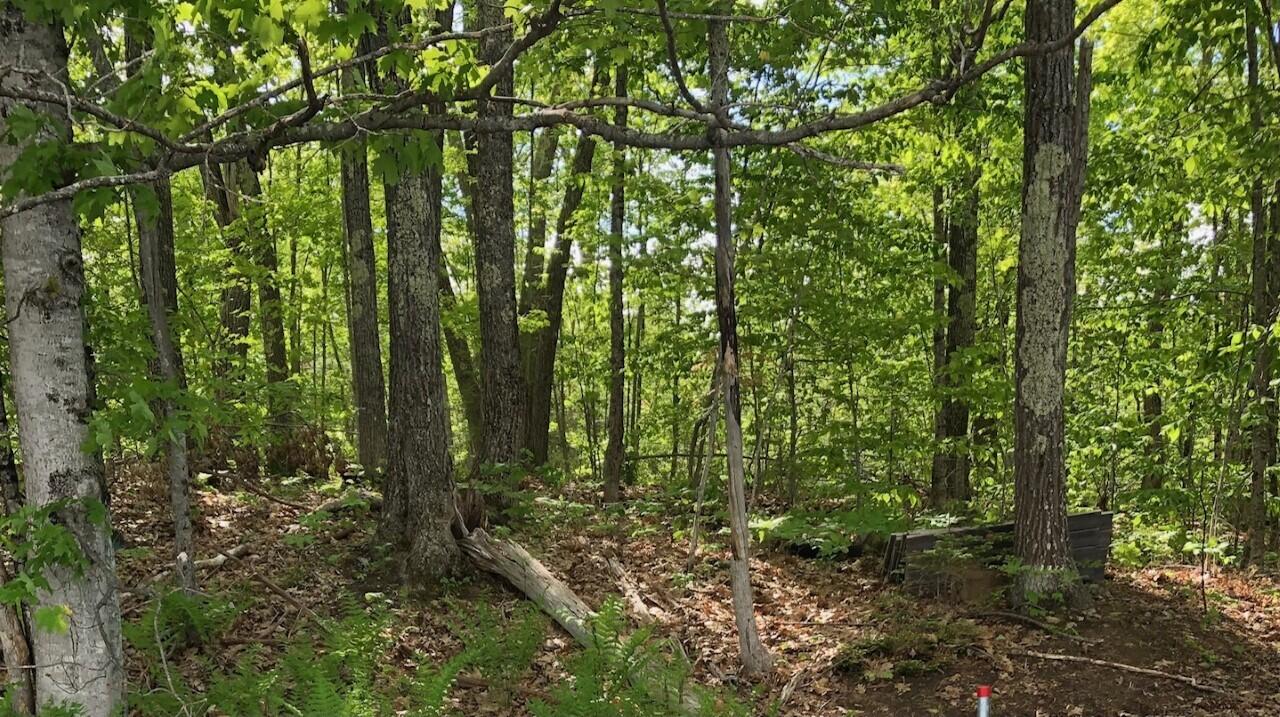 Lot # Lot Road Augusta, ME 04330 - Photo 2 of 6 Hayden4