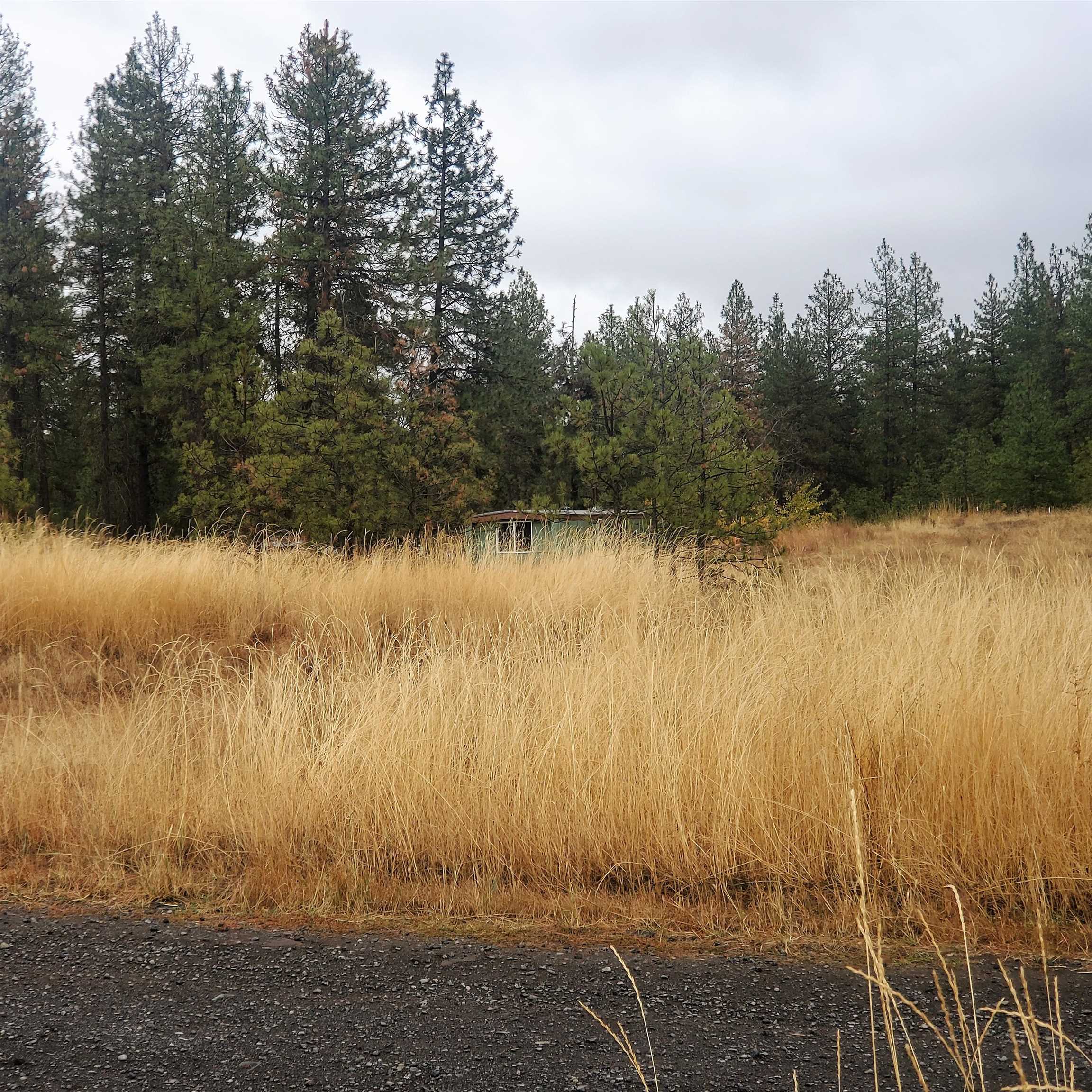 11907 North Jared Lane Spokane, WA 99224 - Photo 38 of 47