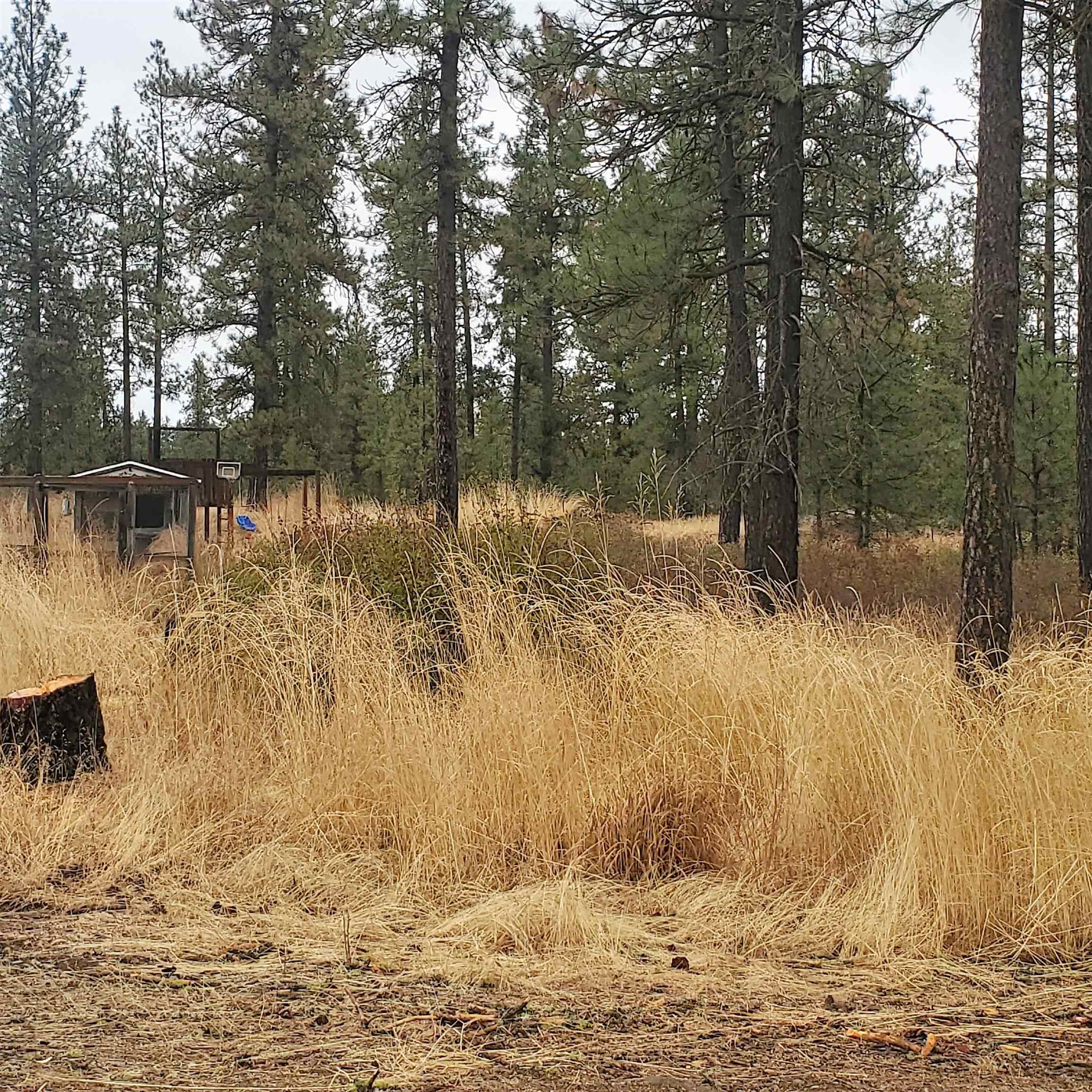 11907 North Jared Lane Spokane, WA 99224 - Photo 39 of 47