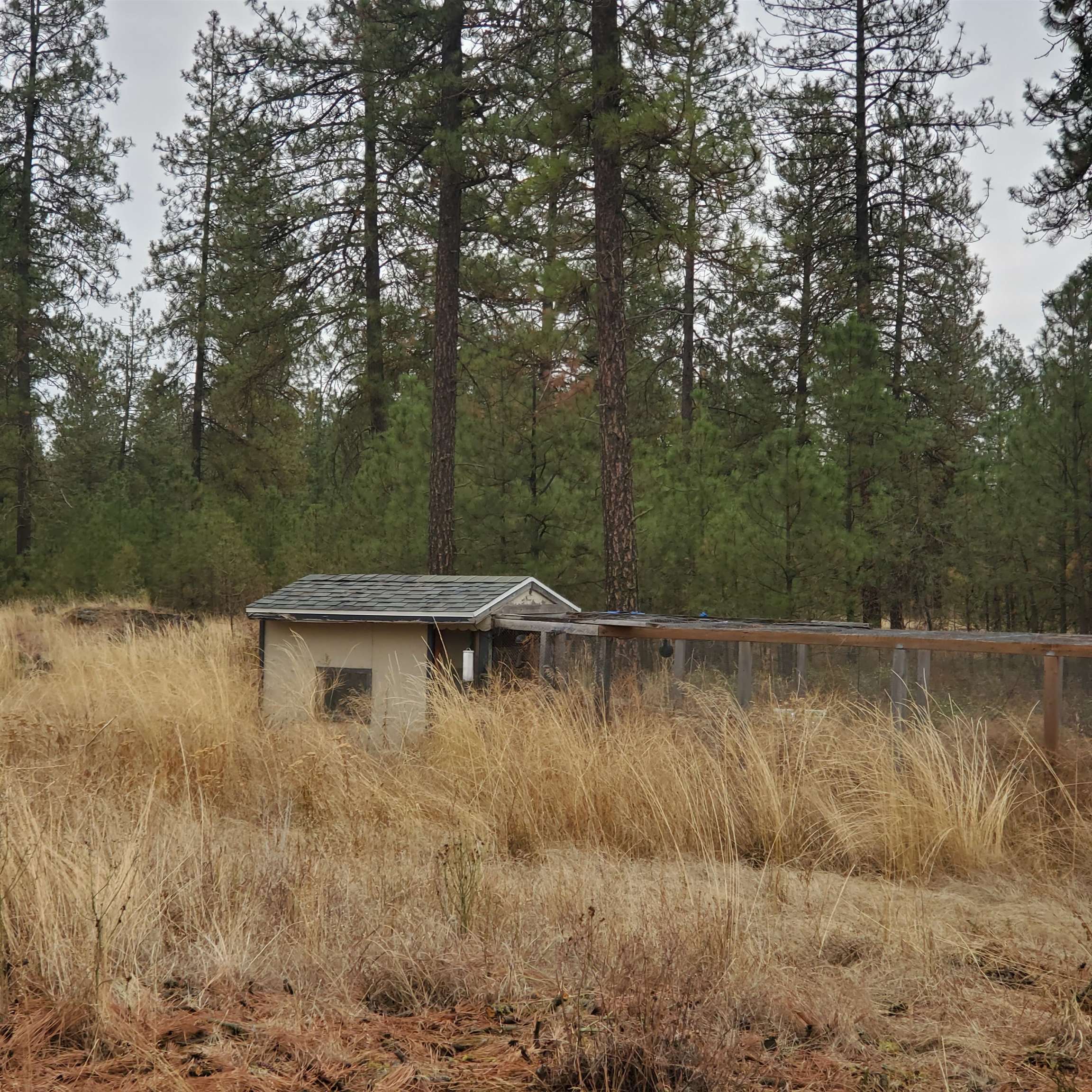 11907 North Jared Lane Spokane, WA 99224 - Photo 43 of 47