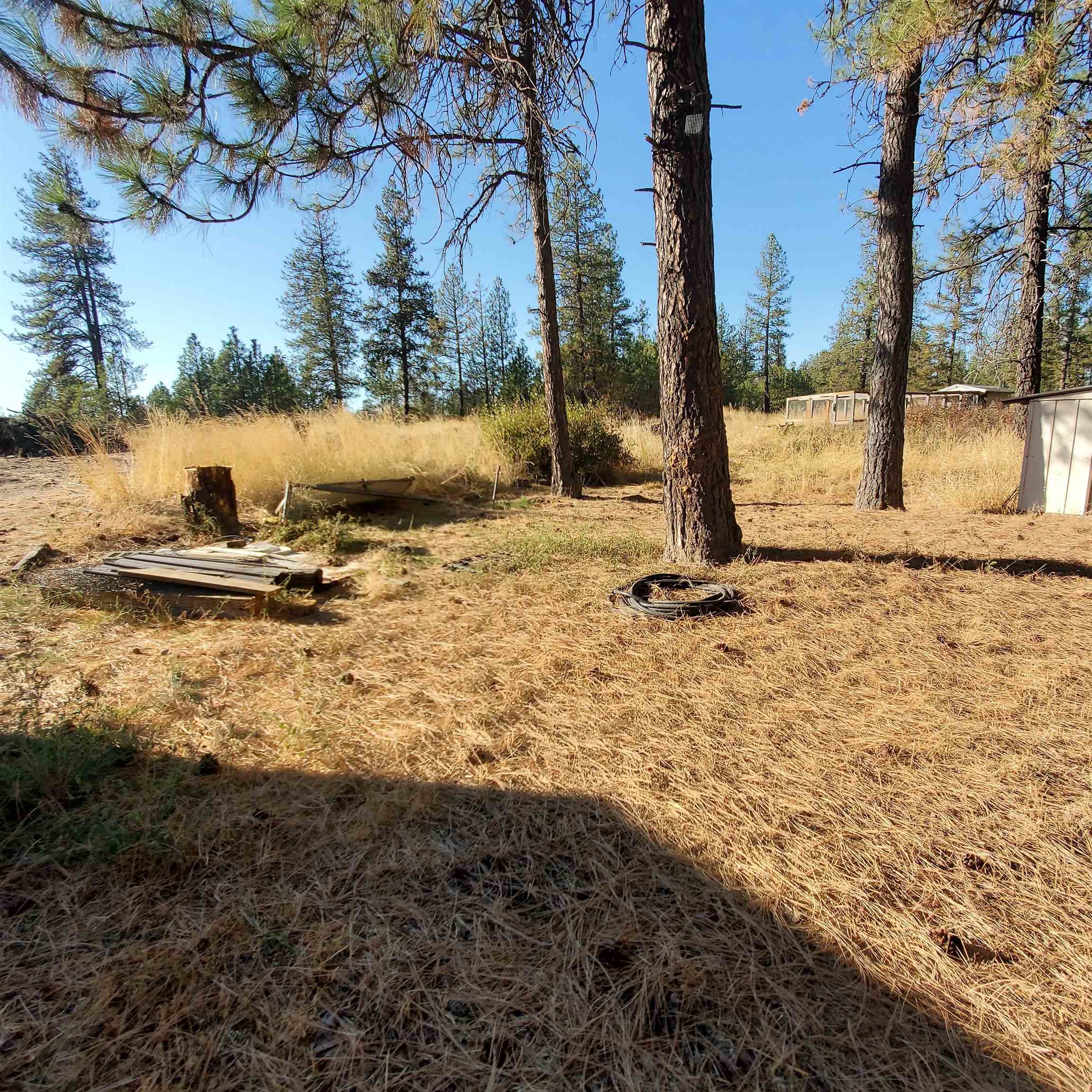 11907 North Jared Lane Spokane, WA 99224 - Photo 6 of 47