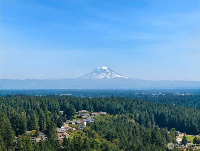 a view of a city with lush green forest