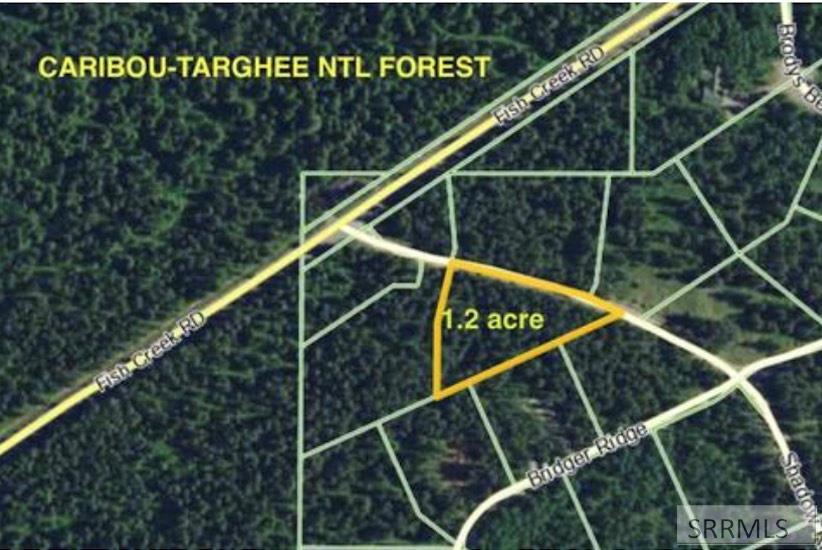 1663 Shadow Run Ashton, ID 83420 - Photo 14 of 15