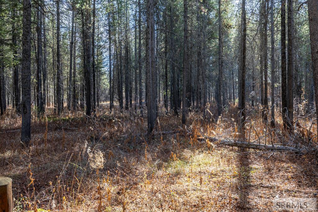 1663 Shadow Run Ashton, ID 83420 - Photo 7 of 13