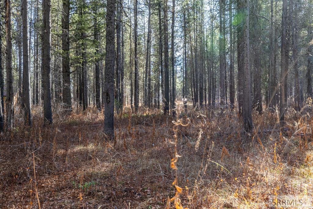 1663 Shadow Run Ashton, ID 83420 - Photo 8 of 13