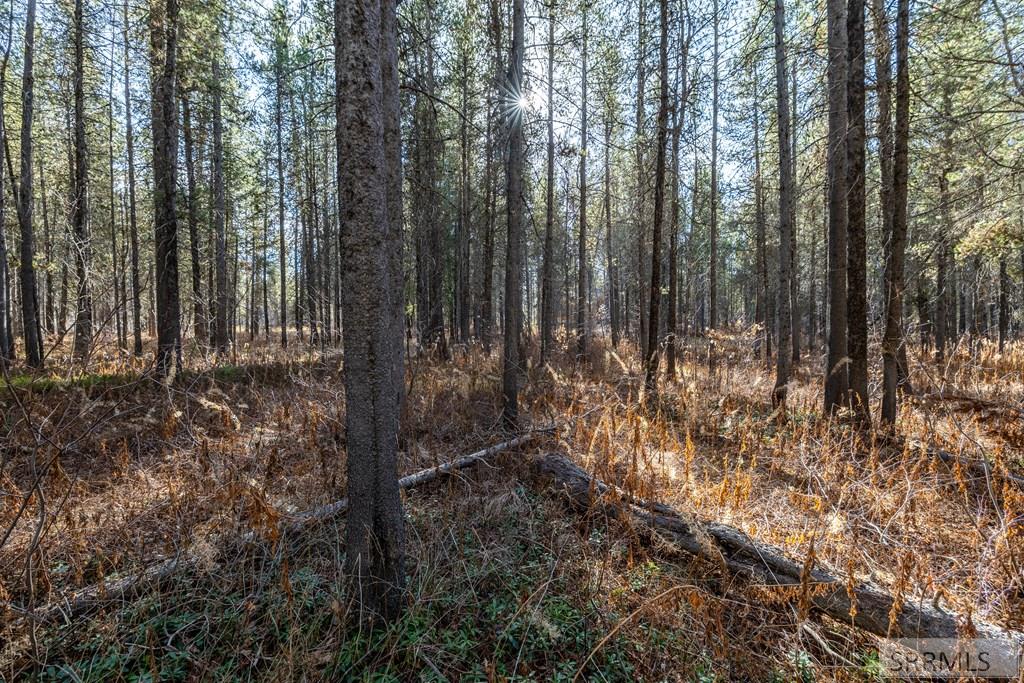 1663 Shadow Run Ashton, ID 83420 - Photo 10 of 13