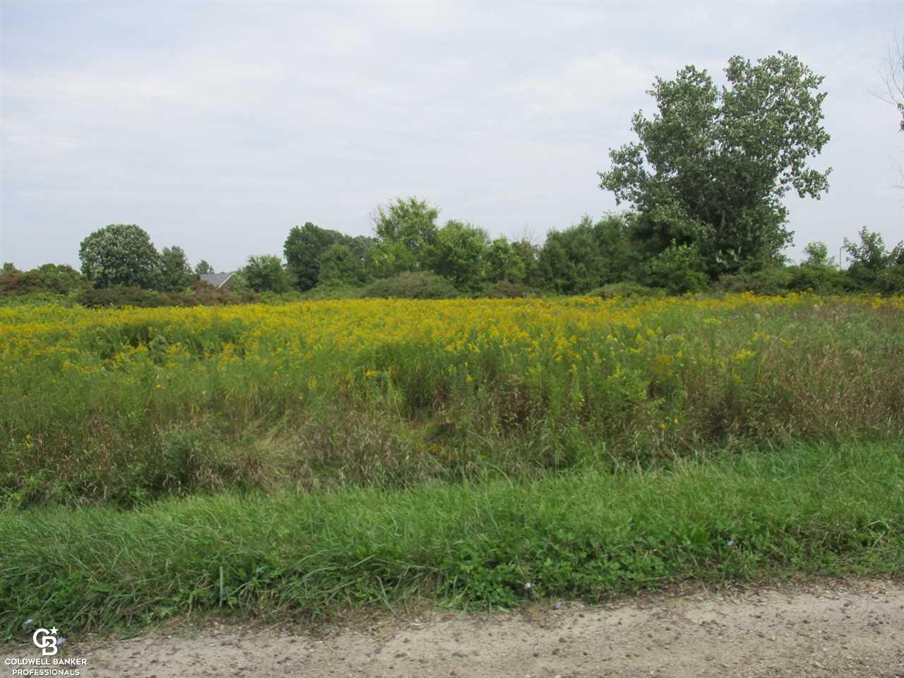 0 Angling Road Richmond, MI 48062 - Photo 1 of 9 Gallery Image 1