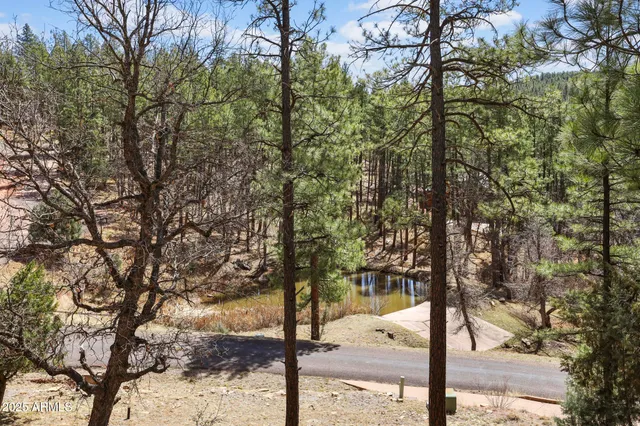 a living room with furniture a fireplace and a large window