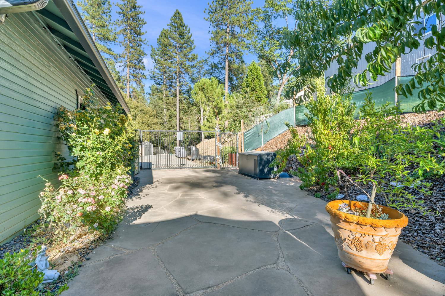 21930 Placer Hills Road Colfax, CA 95713 - Photo 76 of 98