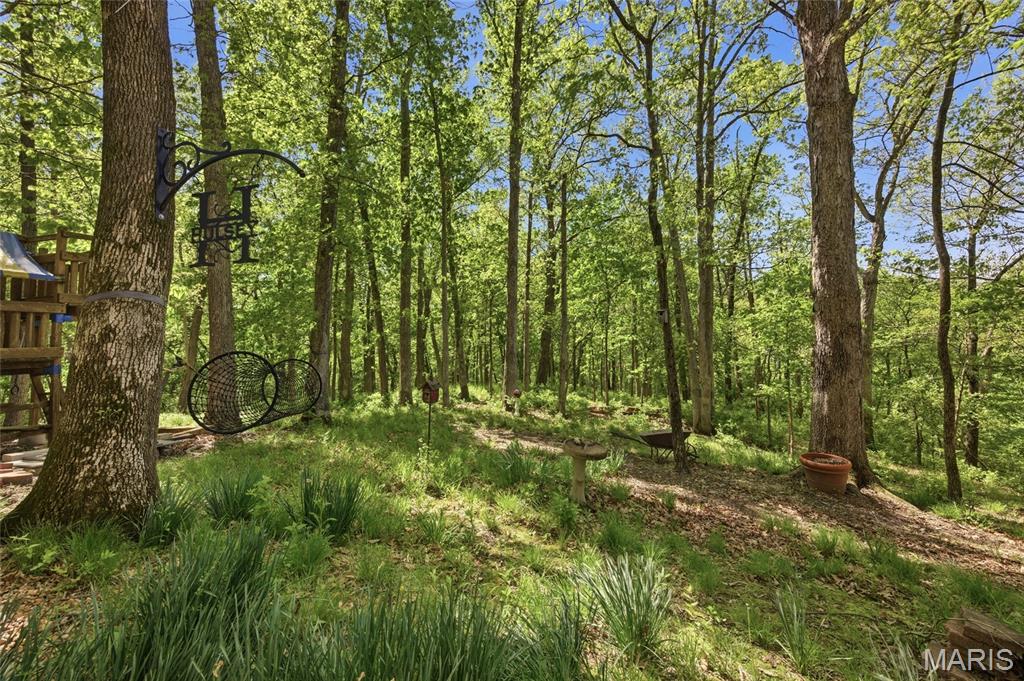 1636 Daybreak Point Court Ballwin, MO 63021 - Photo 53 of 60