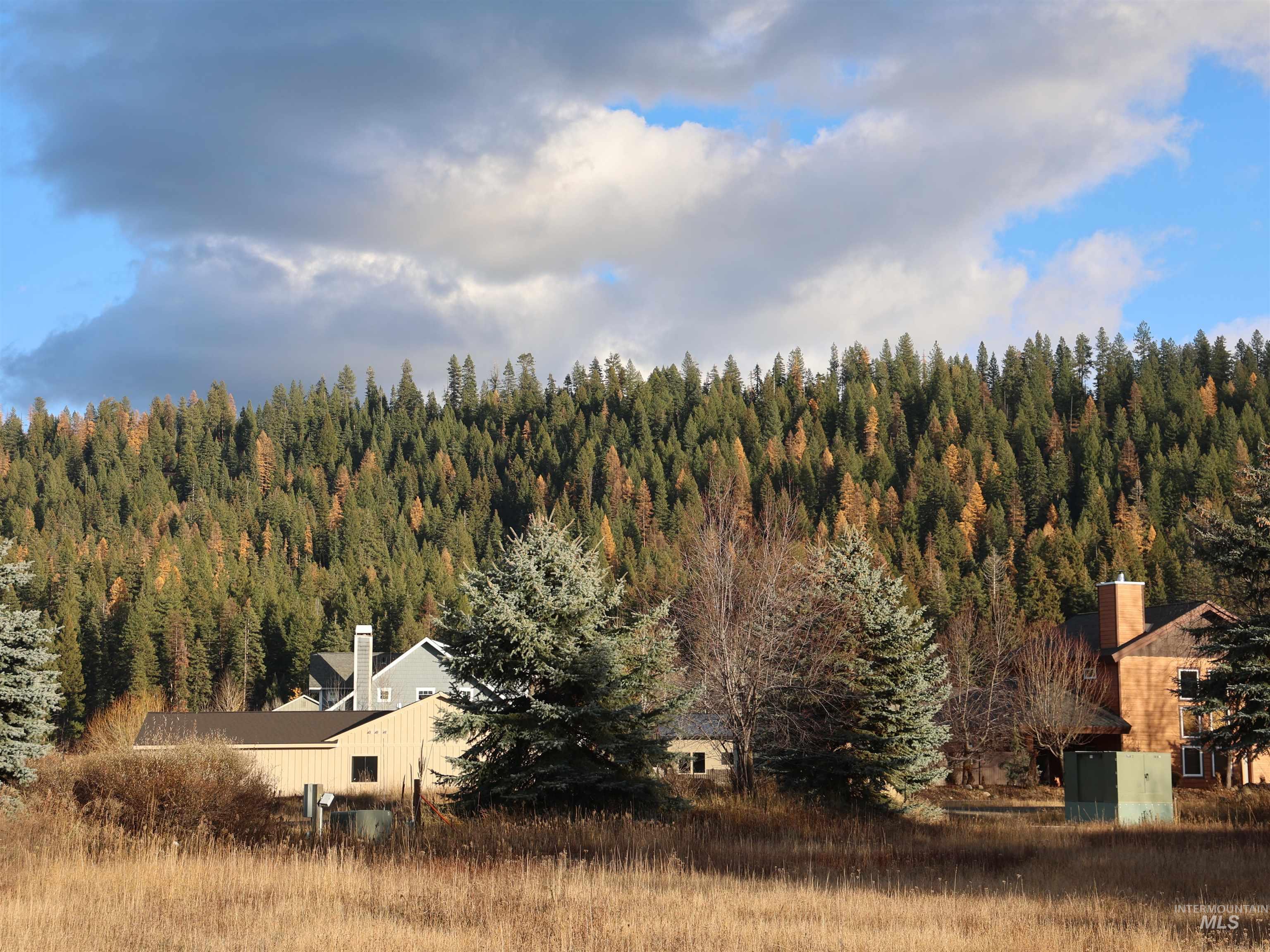 1643 Ginney Way McCall, ID 83638 - Photo 14 of 21 View of subject property featuring a forest