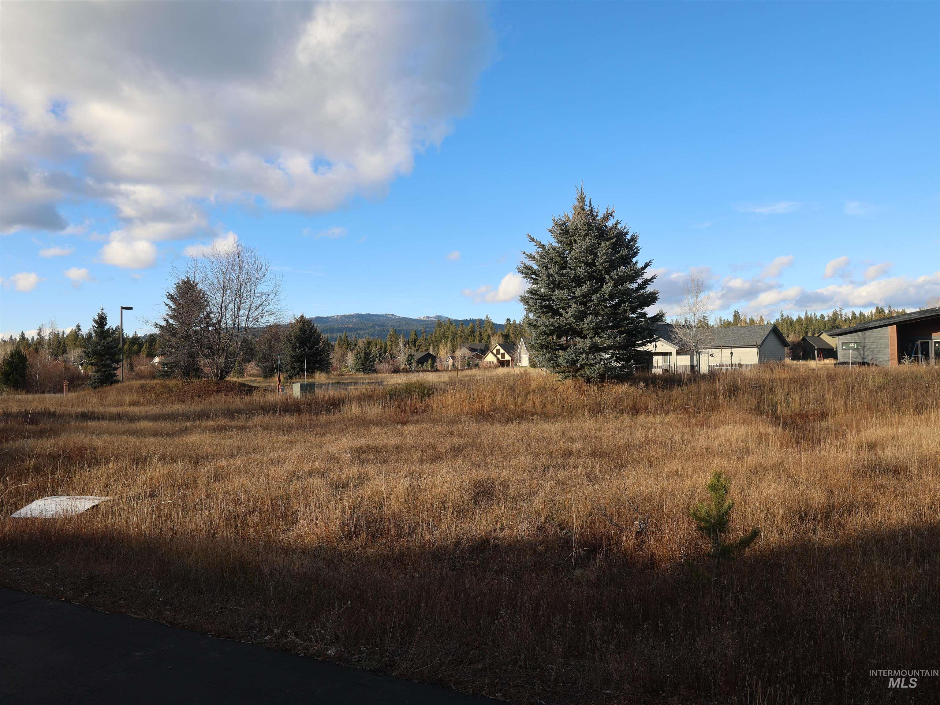 1643 Ginney Way McCall, ID 83638 - Photo 17 of 21 Mountain view