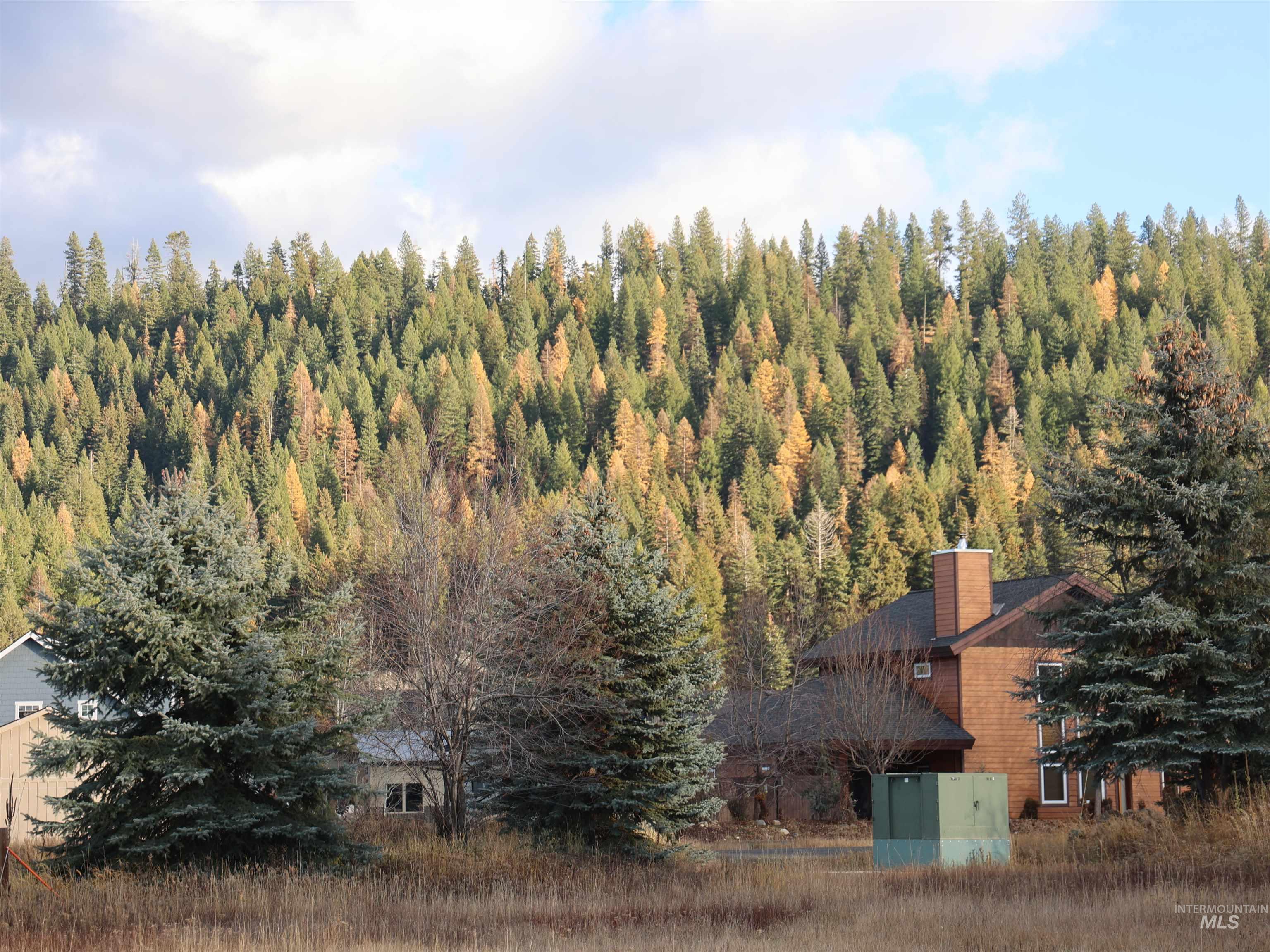 1643 Ginney Way McCall, ID 83638 - Photo 19 of 21 Aerial view of property and surrounding area with a forest