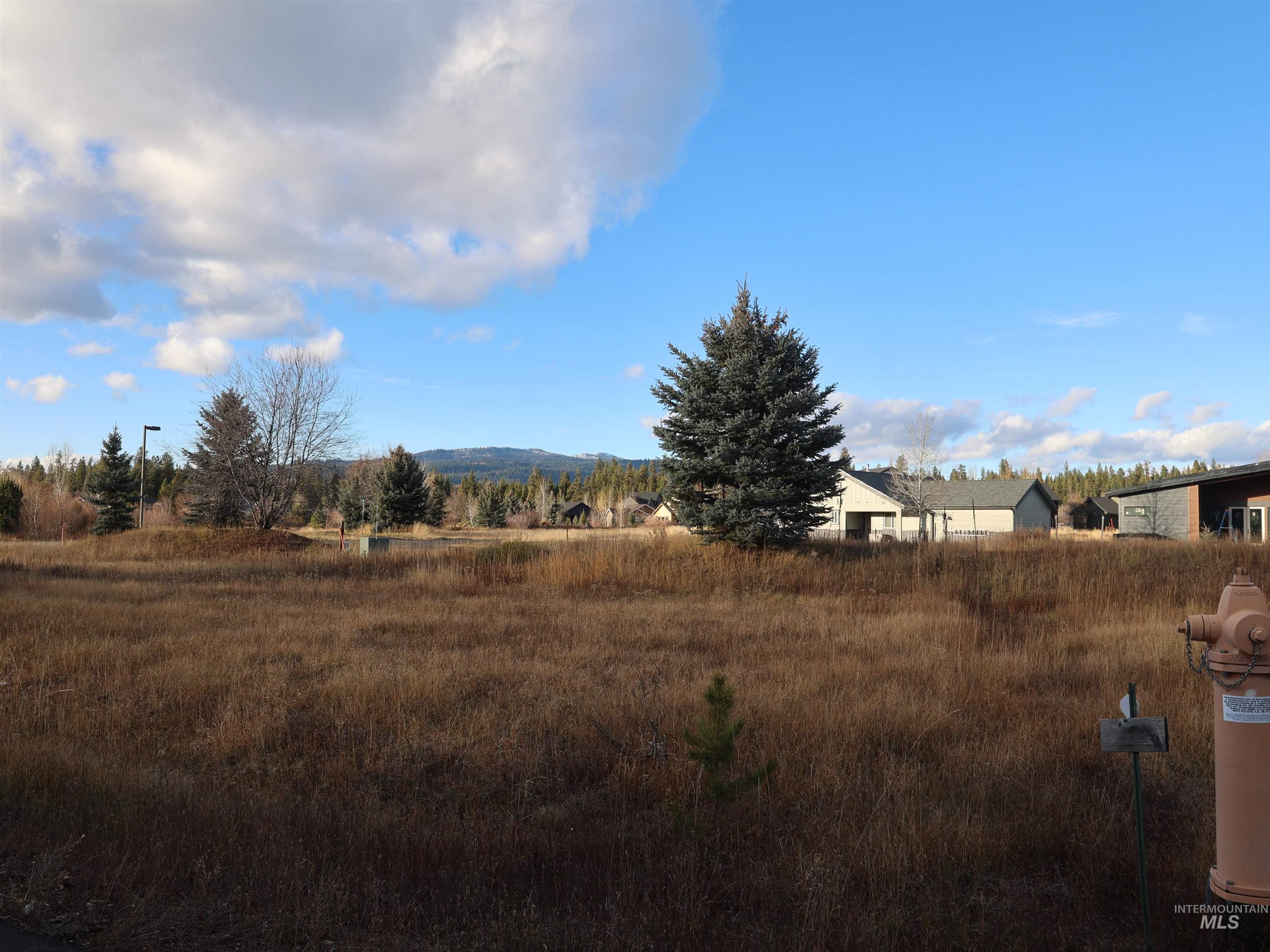 1643 Ginney Way McCall, ID 83638 - Photo 3 of 21 View of yard with a rural view