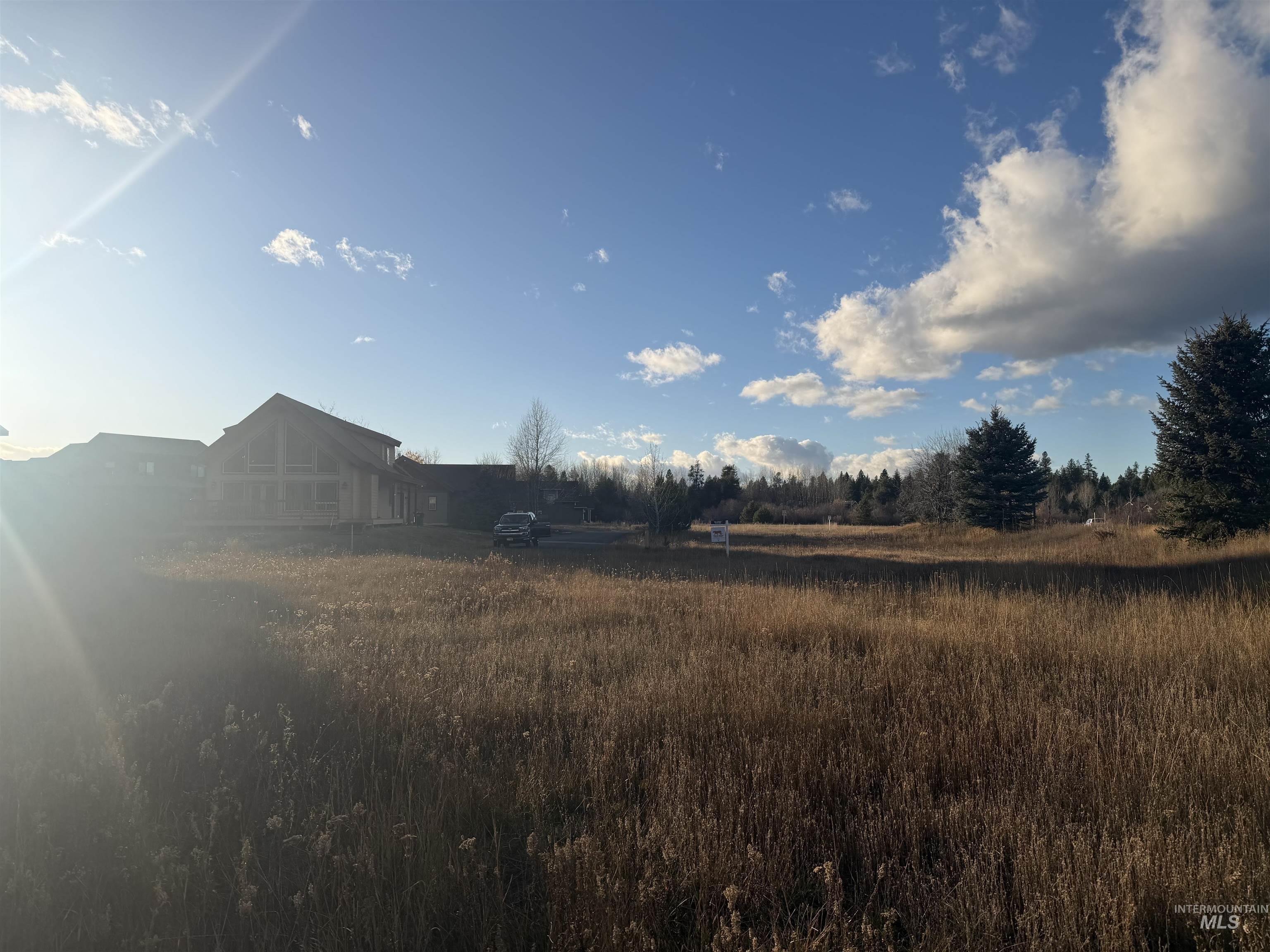 1643 Ginney Way McCall, ID 83638 - Photo 9 of 21 View of yard