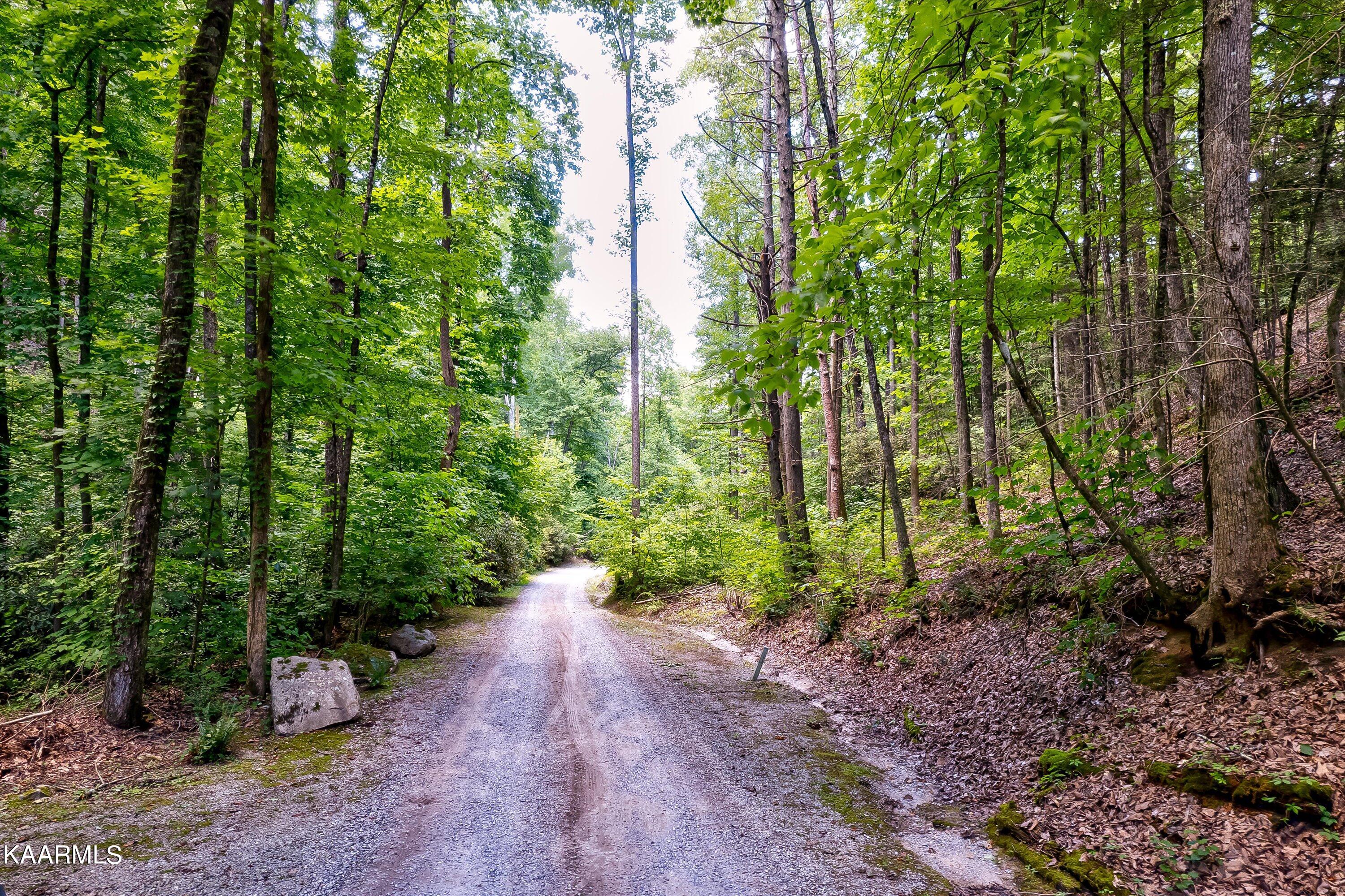 Reagan Springs Road Seymour, TN 37865 - Photo 6 of 8 31-Reagan Springs Rd-60