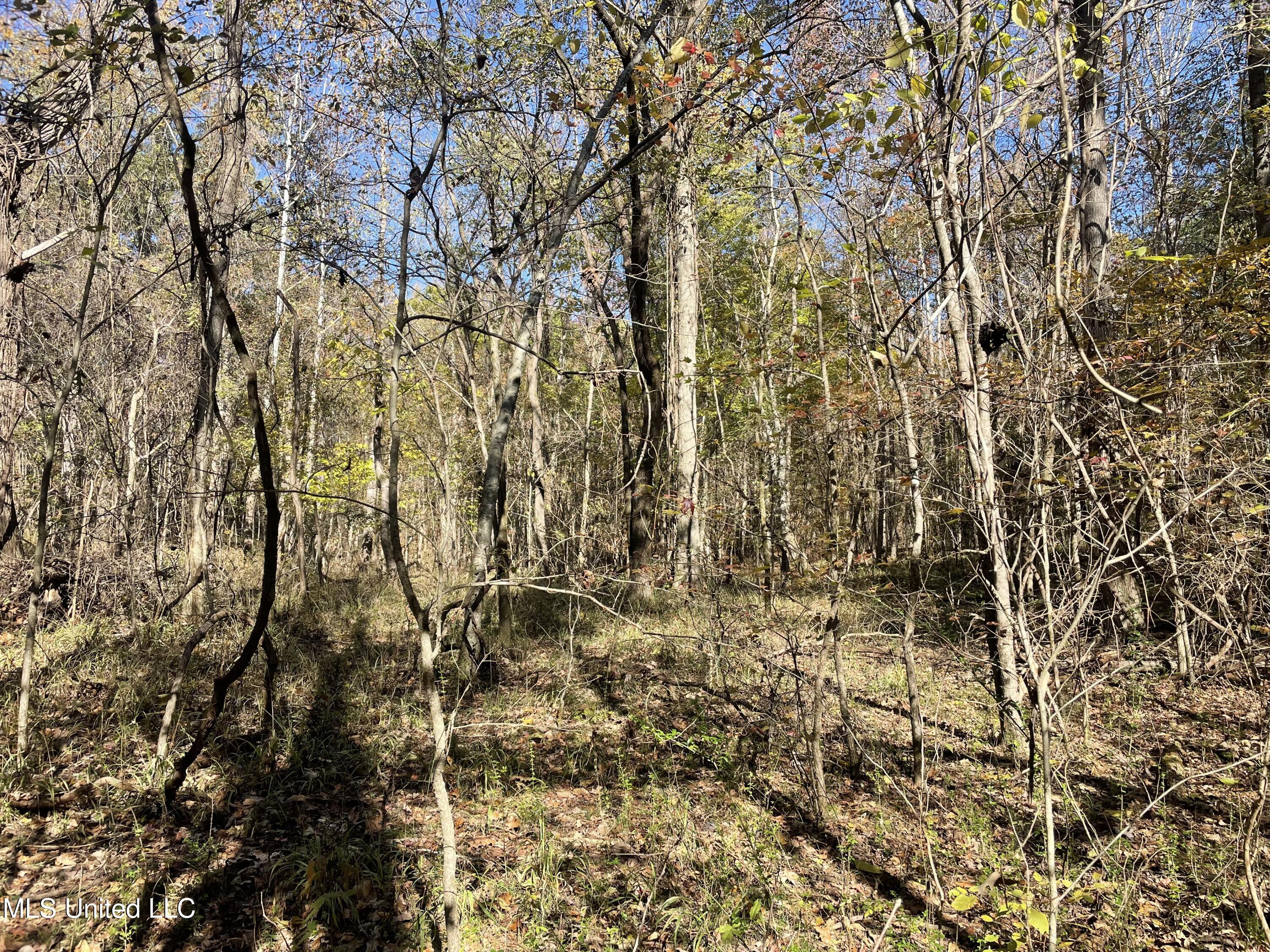 1 Truslow Road Sarah, MS 38665 - Photo 6 of 9 IMG_3416