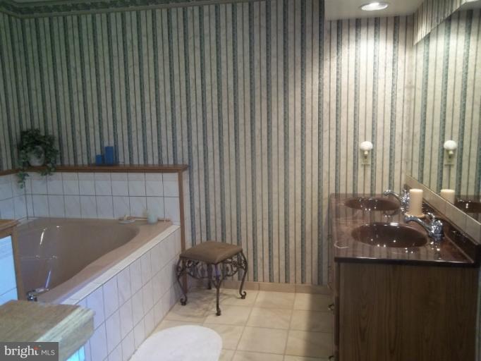 668 Bell Manor Road Conowingo, MD 21918 - Photo 14 of 28 Bath (Master)
