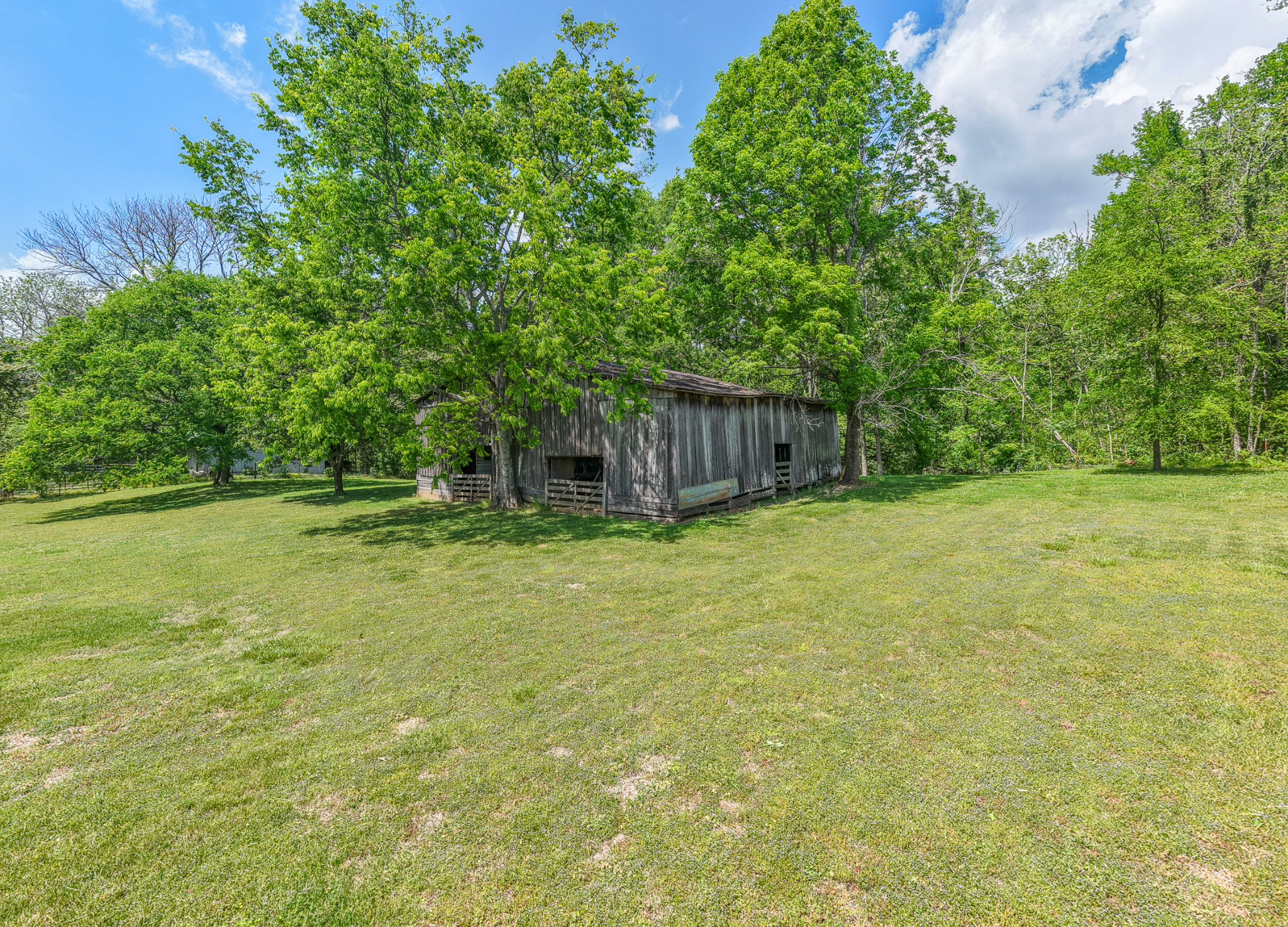 590 Allisona Road Eagleville, TN 37060 - Photo 36 of 55 a backyard of a house with lots of plants and tree