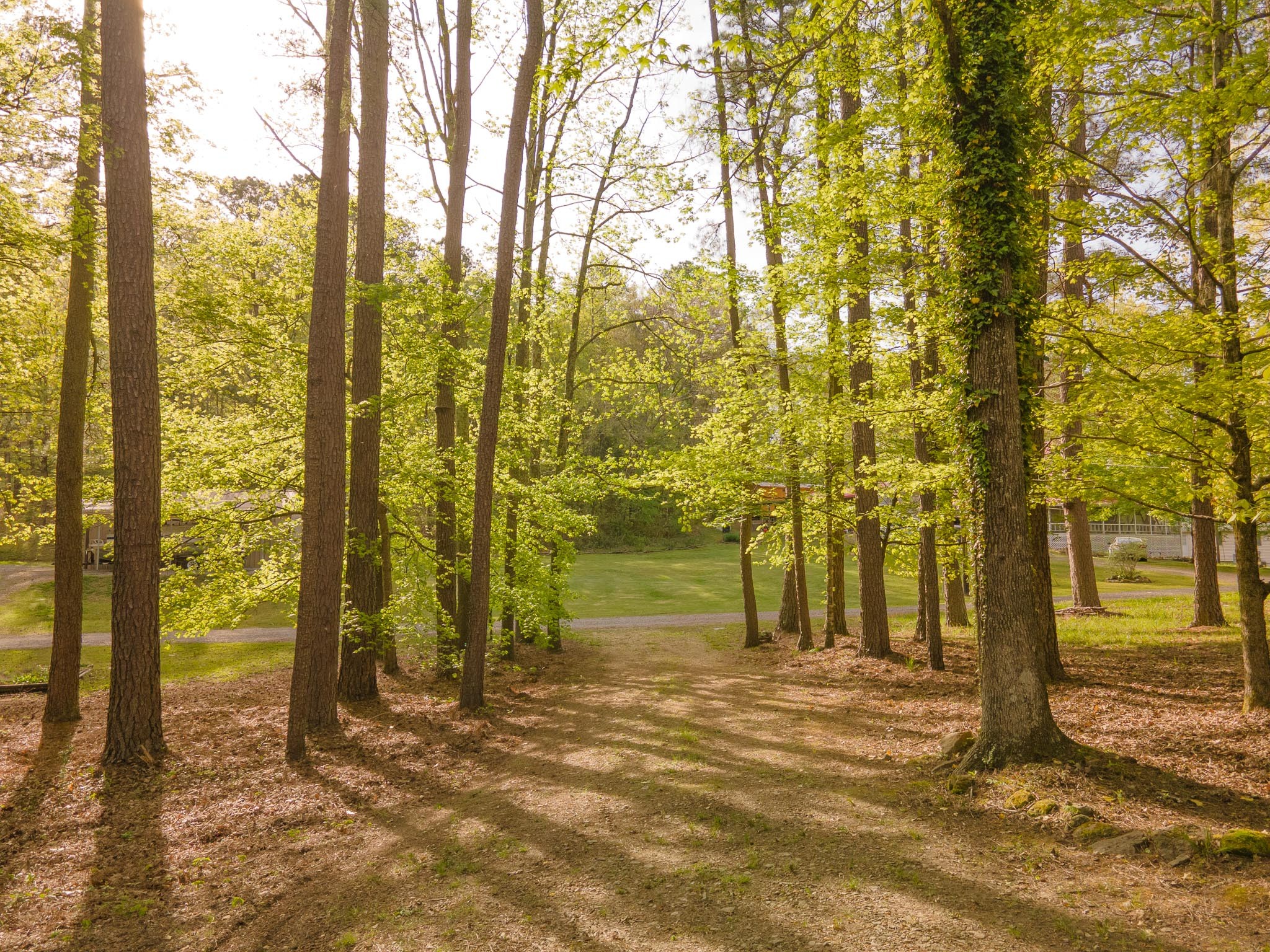 131 Arrington Road Waverly, TN 37185 - Photo 26 of 31 Gallery Image 26
