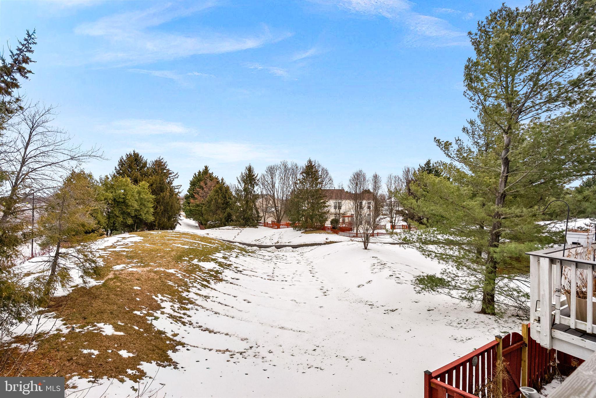 20718 Apollo Terrace Ashburn, VA 20147 - Photo 38 of 44 Backyard Views