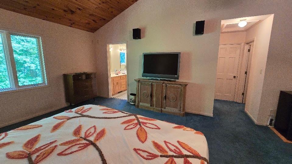 5420 Birch Lake Road Harshaw, WI 54529 - Photo 14 of 71 Gallery Image 14