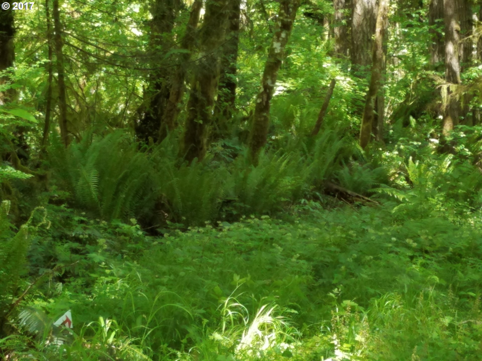 47895 Northwest Dingheiser Road Banks, OR 97106 - Photo 2 of 10 Gallery Image 2