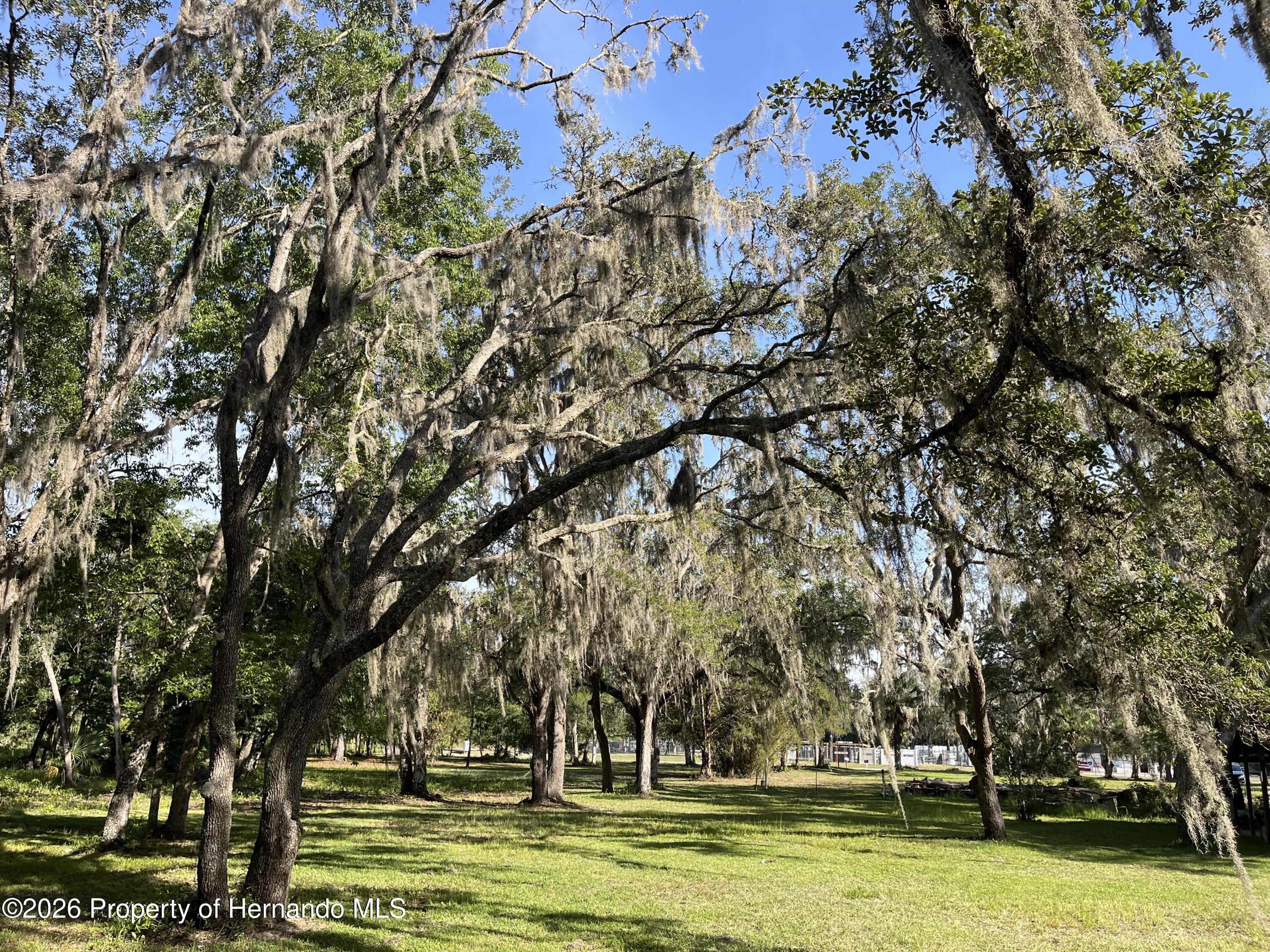 16305 Wiscon Road Brooksville, FL 34601 - Photo 24 of 33 Gallery Image 24