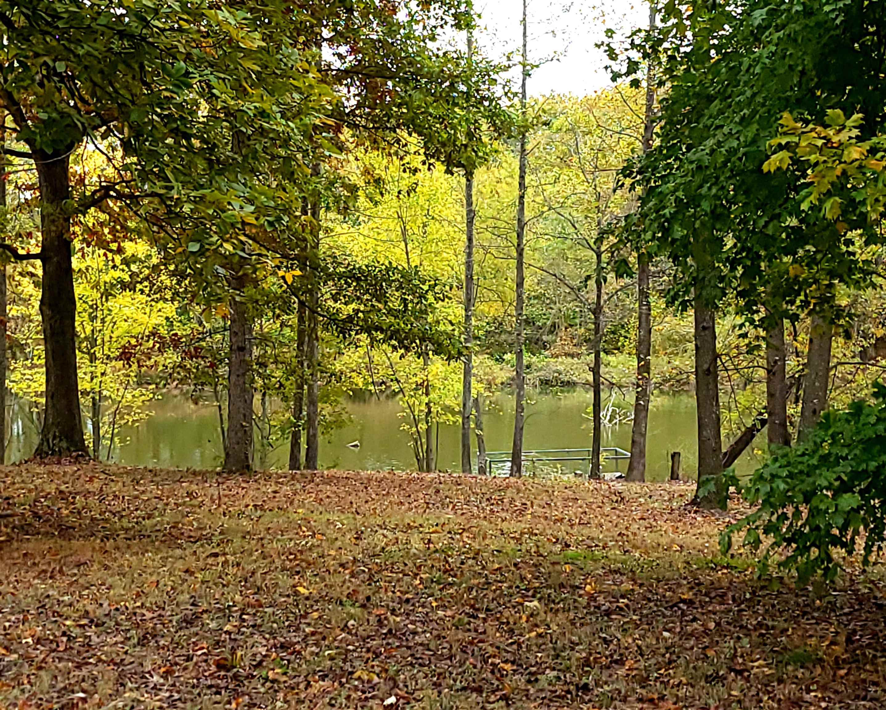 134 Watson Road Ripley, TN 38063 - Photo 8 of 22 a view of house with a backyard