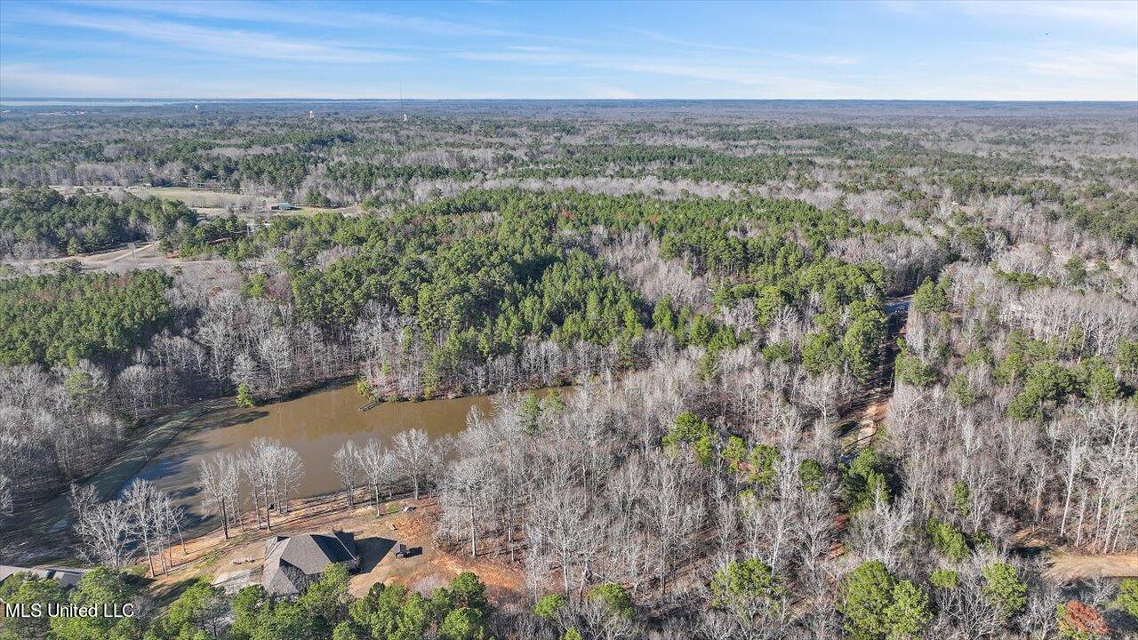 1074 Ridgeside Drive Brandon, MS 39042 - Photo 28 of 30 26-1074 Ridgeside Dr