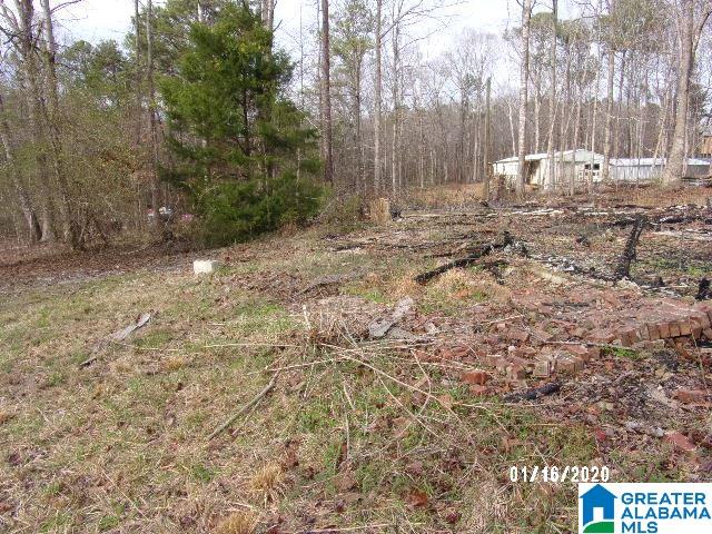 5736 County Road 51 Clanton, AL 35046 - Photo 6 of 7
