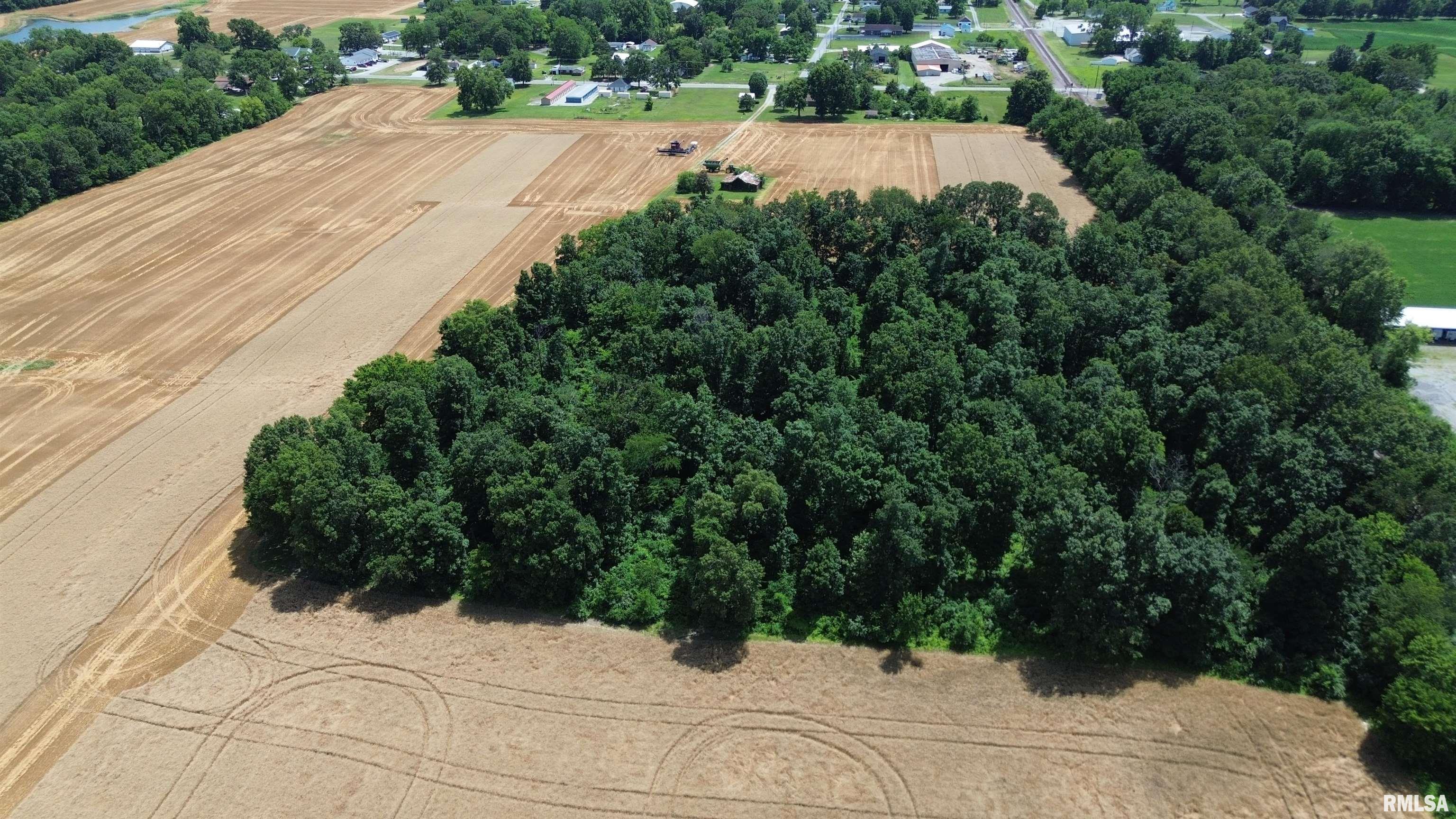 0 Ewing Road Whittington, IL 62897 - Photo 11 of 18