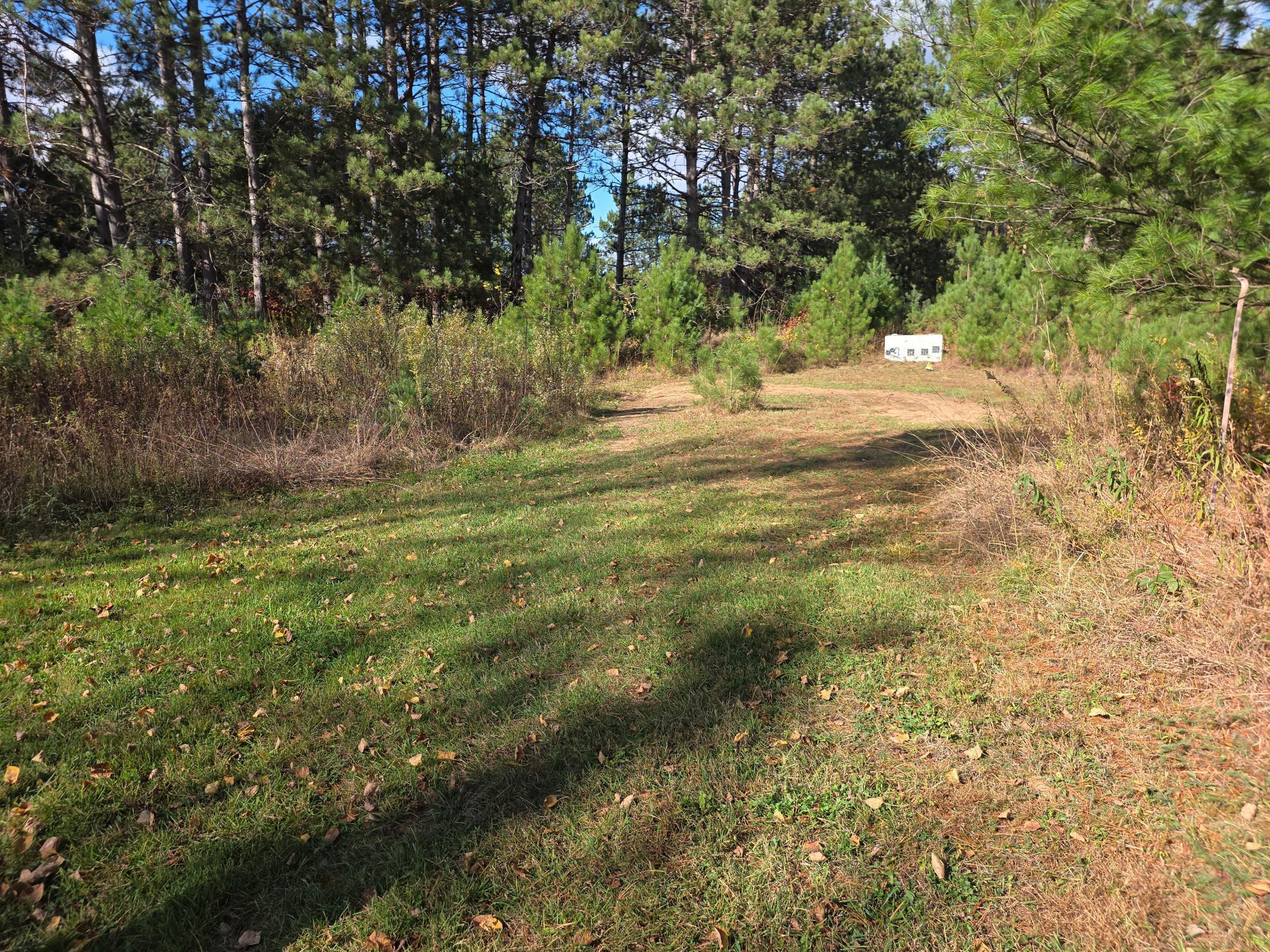 26910 South River Road Webster, WI 54893 - Photo 7 of 10