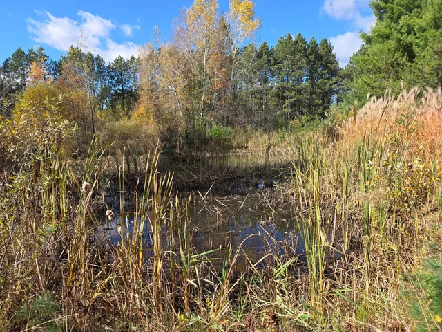 $115,000 | 26910 South River Road, Webster, WI 54893