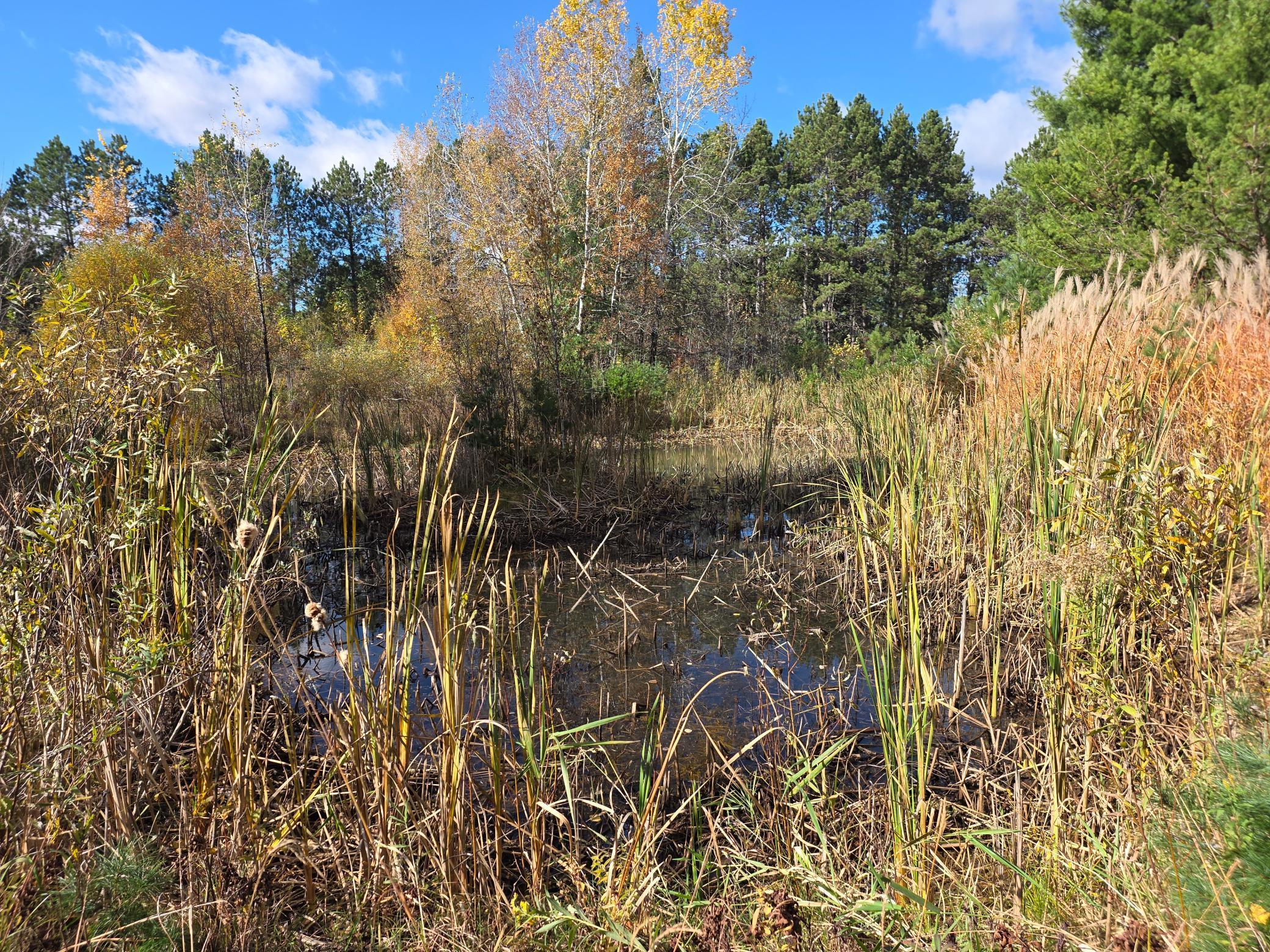 26910 South River Road Webster, WI 54893 - Photo 8 of 10