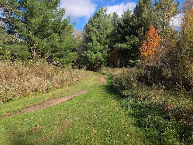 $115,000 | 26910 South River Road, Webster, WI 54893