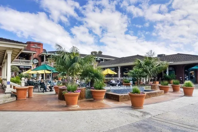 an outdoor view with garden