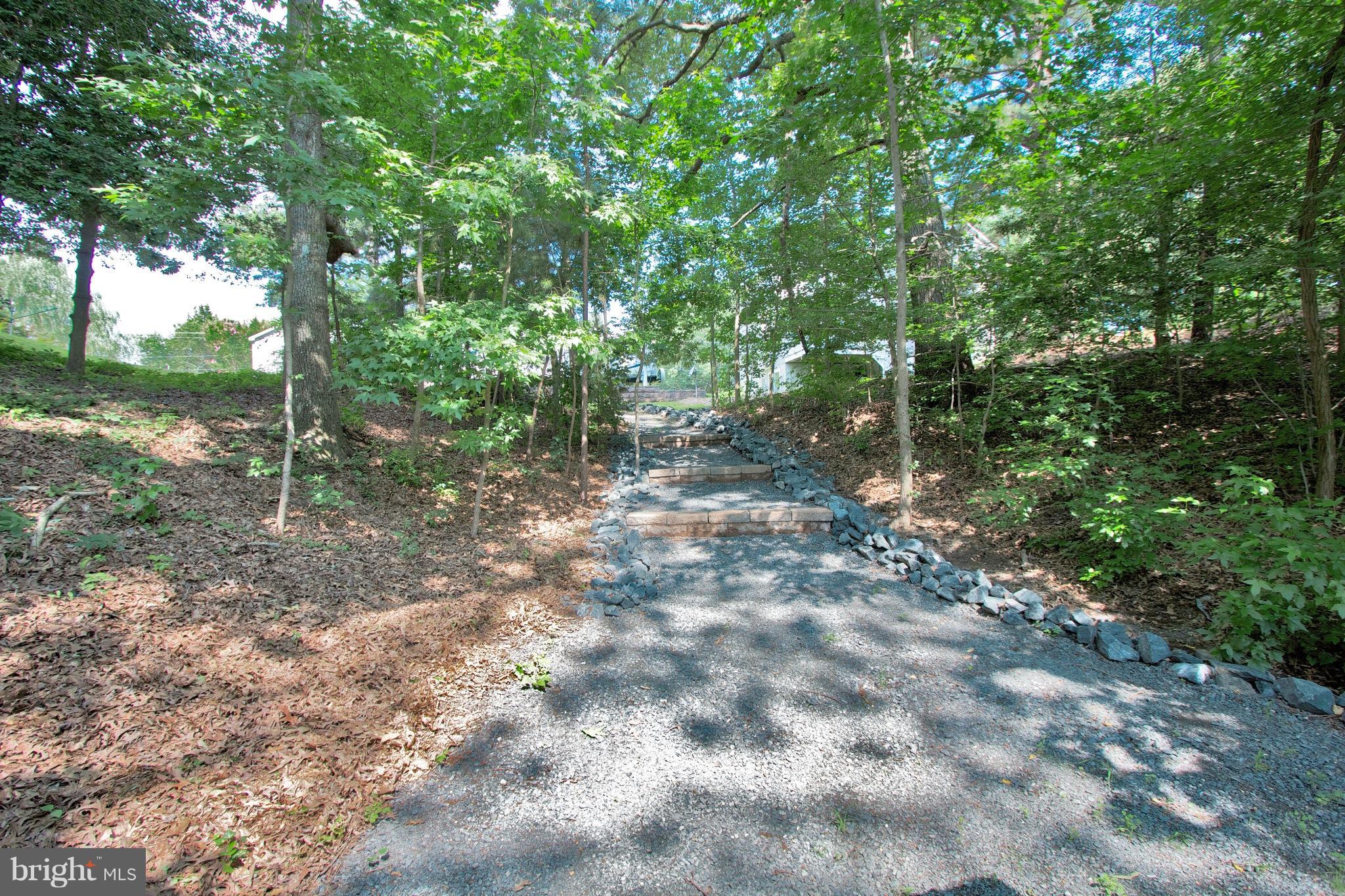 13422 Olivet Road Lusby, MD 20657 - Photo 13 of 23 a view of a forest with trees in the background