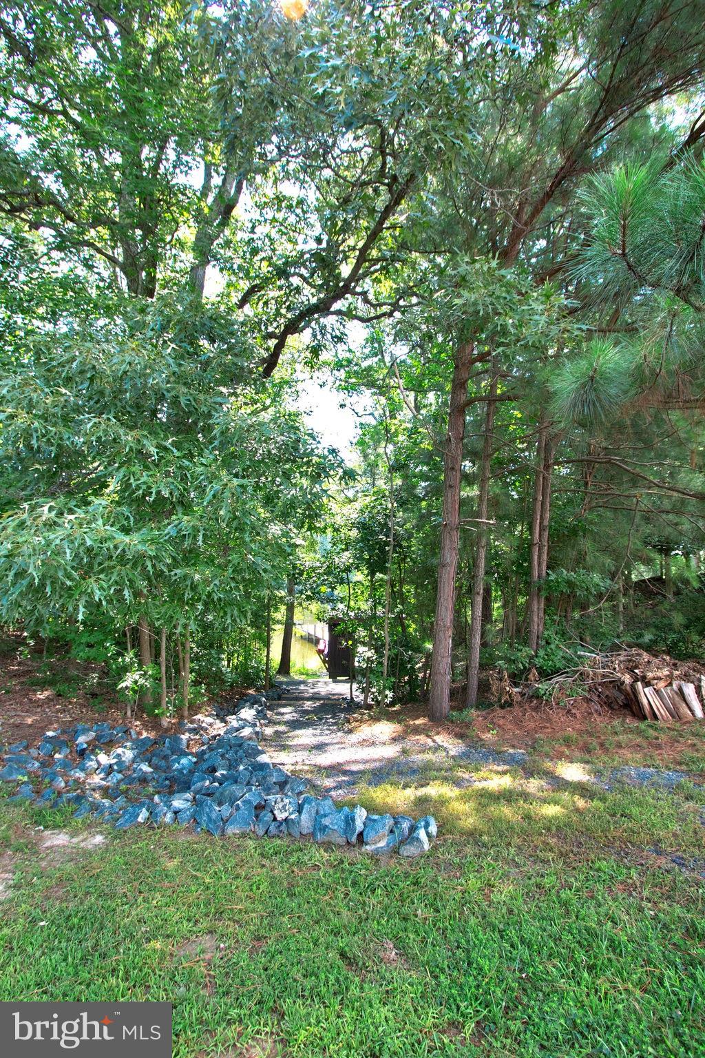 13422 Olivet Road Lusby, MD 20657 - Photo 9 of 23 a view of backyard with tree