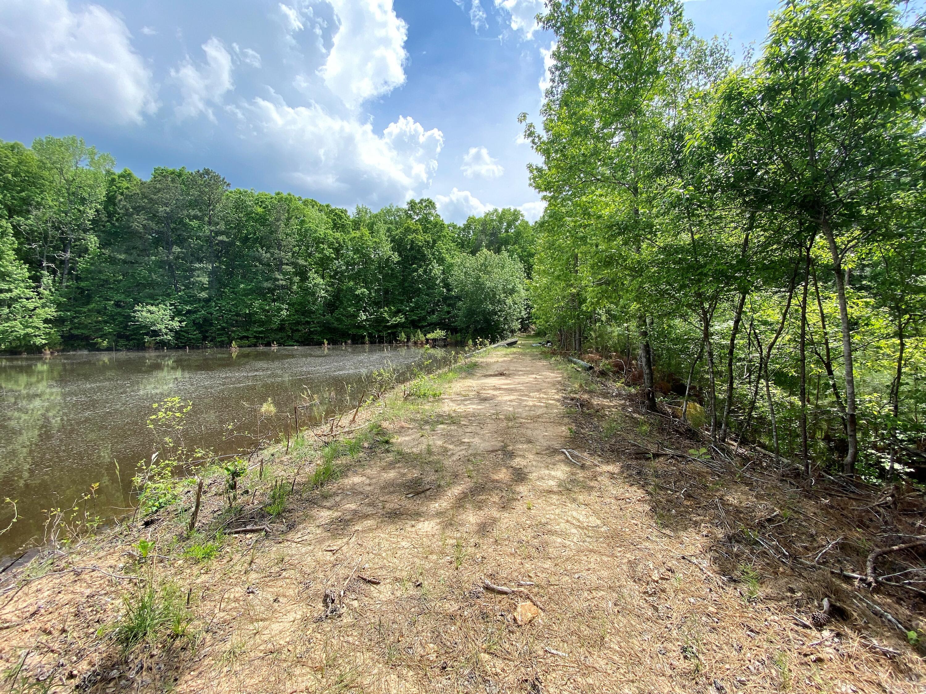 3 Razor Ridge Trenton, SC 29847 - Photo 5 of 8 razor 6