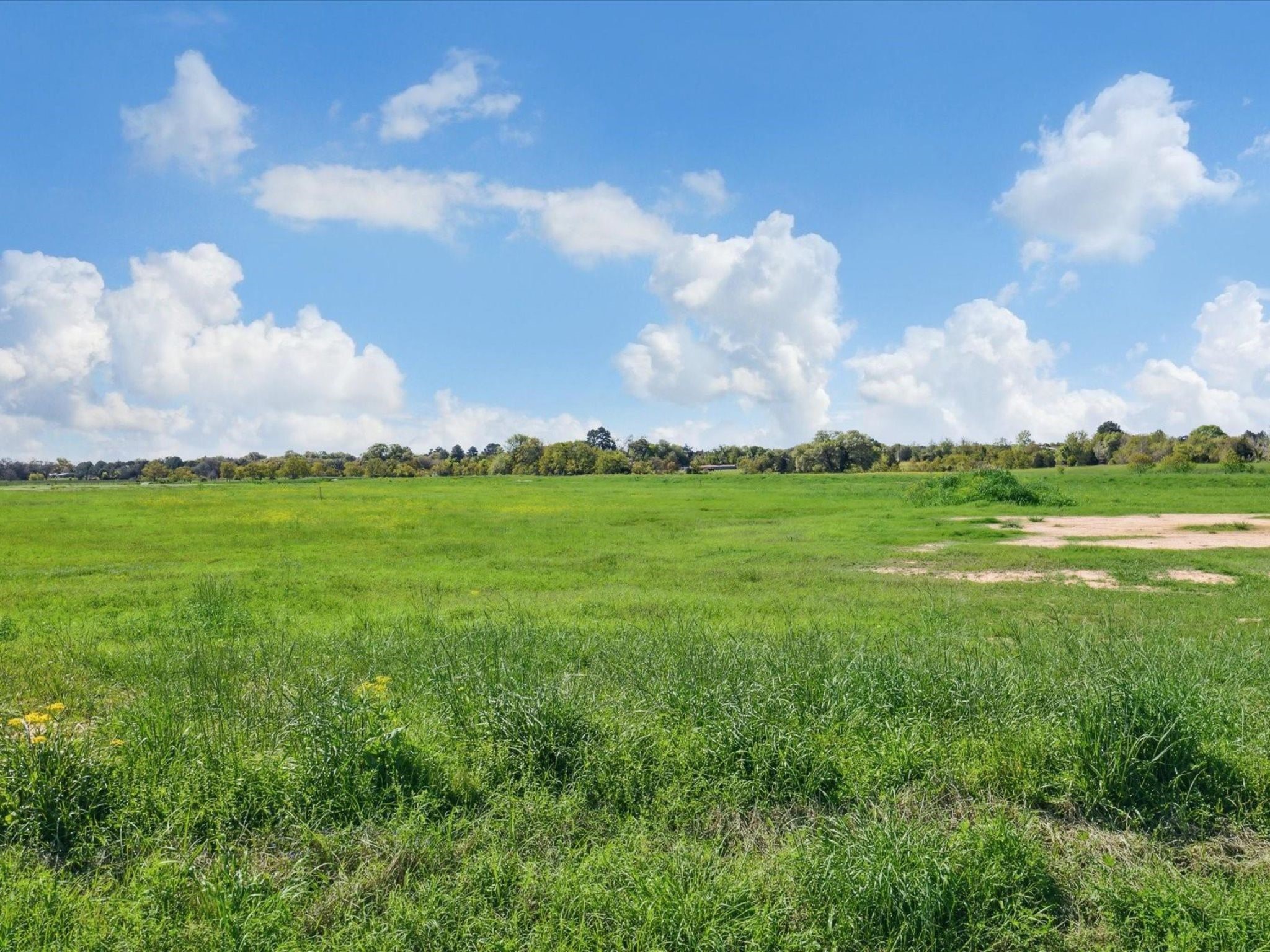 Lot 66 Oak Hollow Cat Spring, TX 78933 - Photo 9 of 22 a view of a city