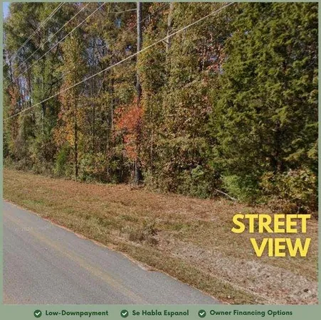 a view of a yard with plants