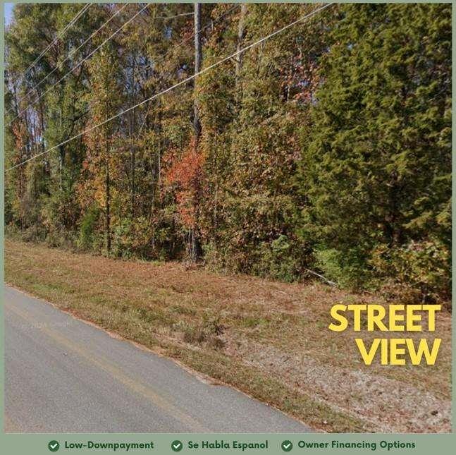 0 City Pond Road Covington, GA 30014 - Photo 3 of 4